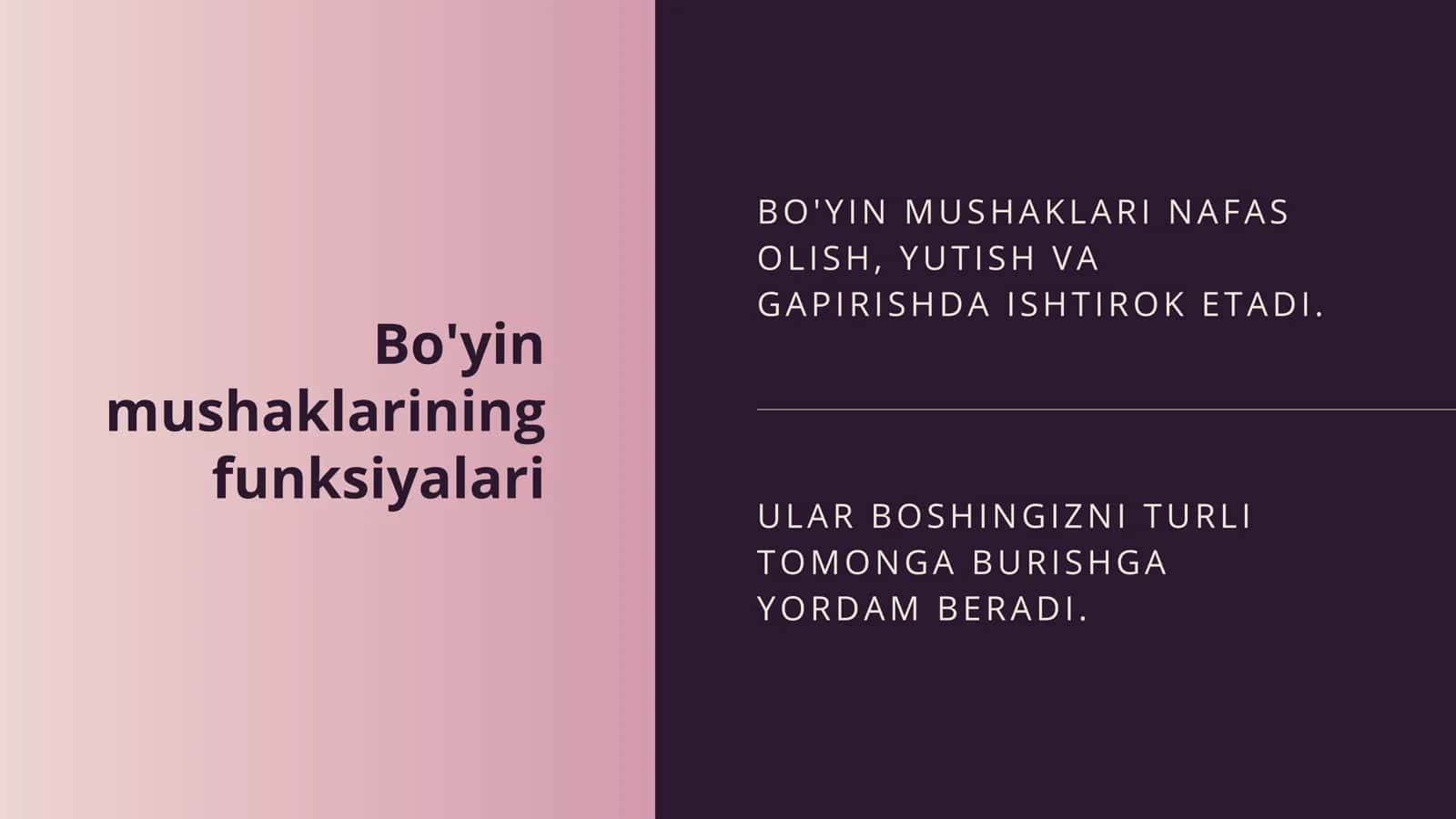 BO'YIN MUSHAKLARI BOSHNI HARAKATLANTIRISH V A USHLAB TURISHDA MUHIM ROL O'YNAYDI 2