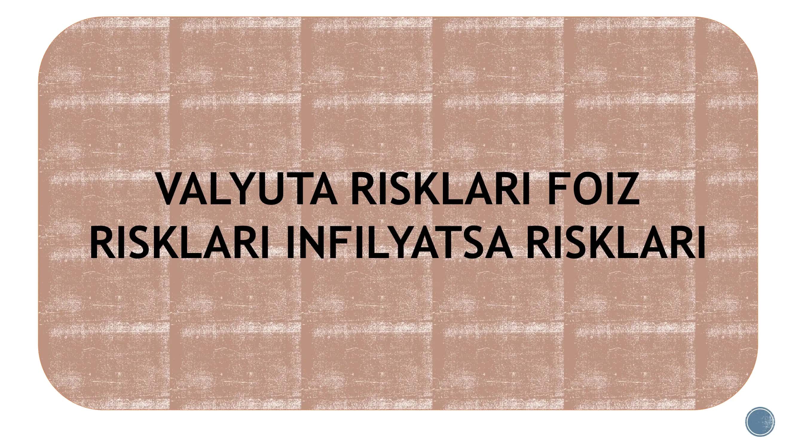 Valyuta Risklari 2