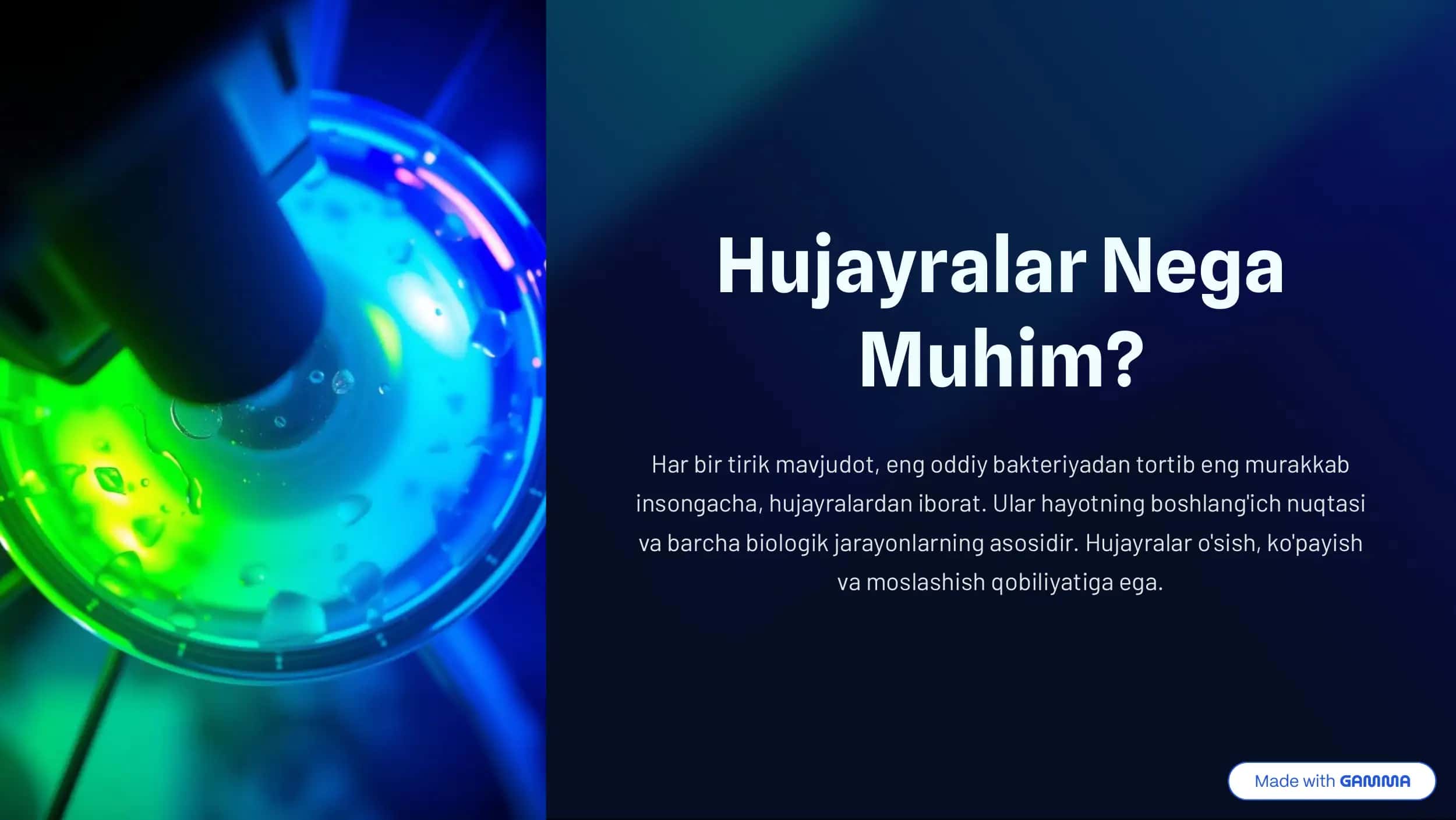 Hujayralar 2