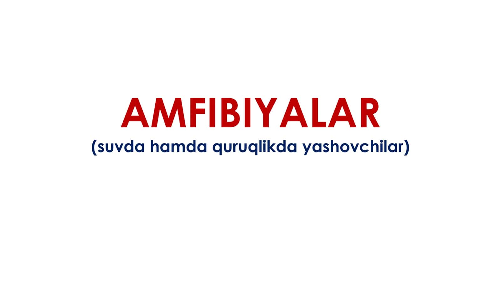 AMFIBIYALAR (suva va quruqlikda yashovchilar) 2