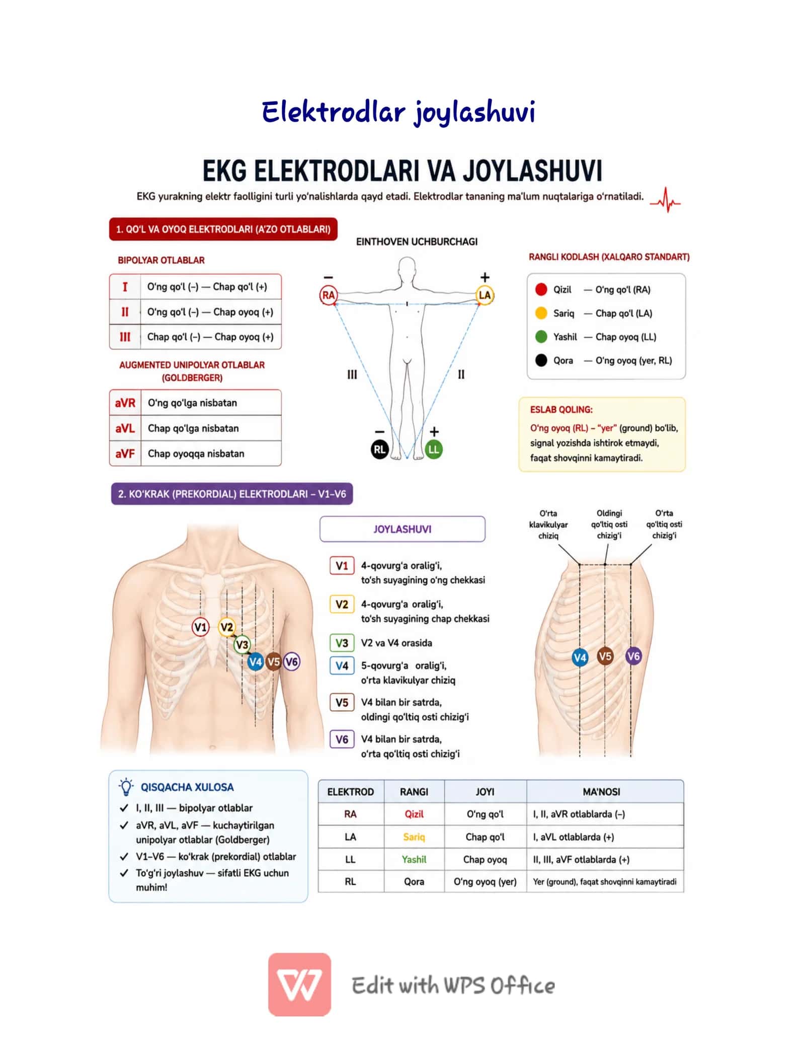 EKG (Elektrokardiografiya) Cheat Sheet | O'zbekcha Tibbiy Qo'llanma | ECG Quick Reference PDF | Medi 2