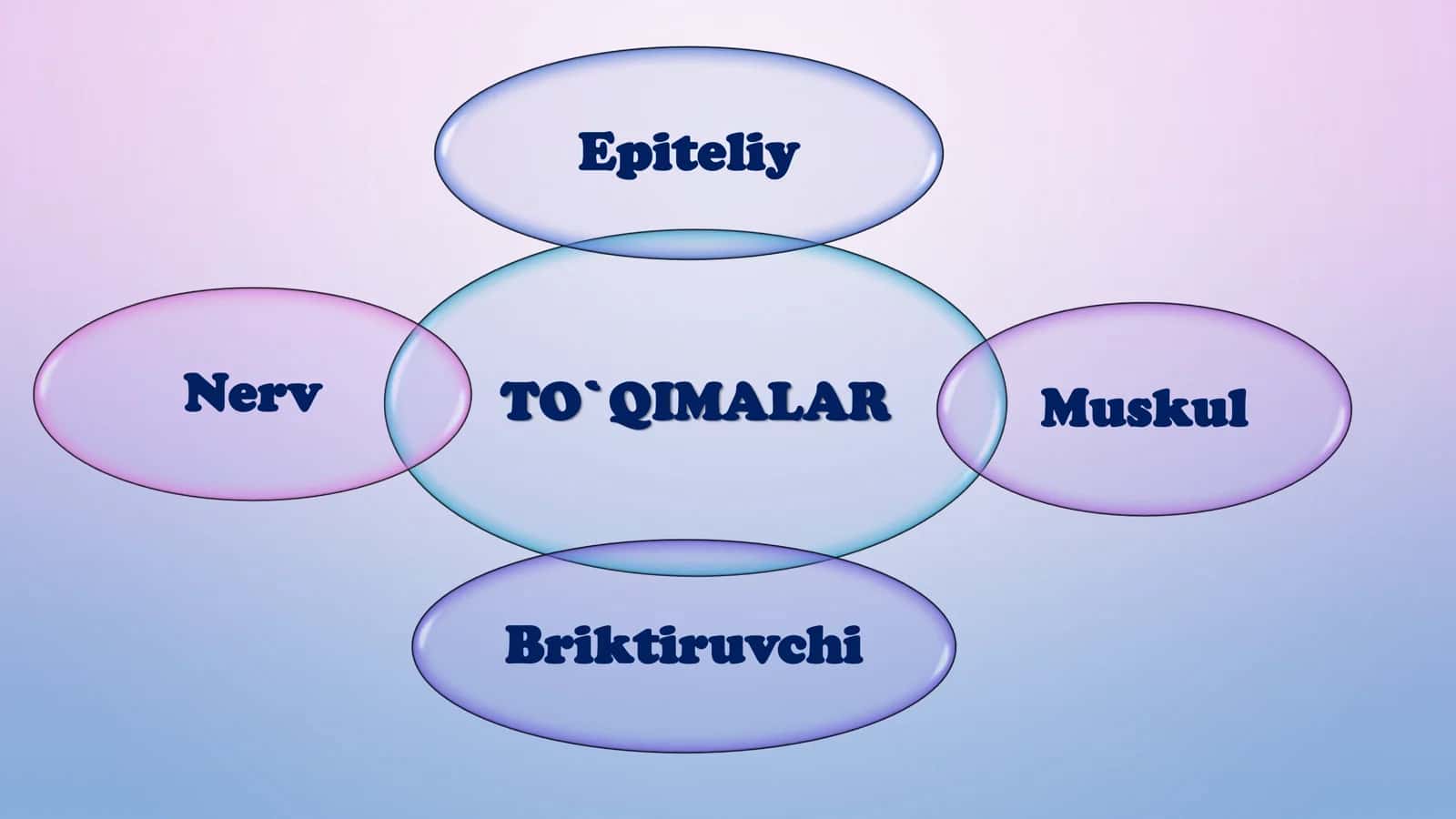 8-Sinf Biologiya: “To‘qimalar, Organlar va Organizm” 1 Soatlik Taqdimot 2