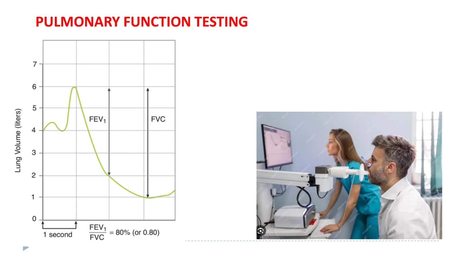 PHYSIOLOGY LESSON 18 2