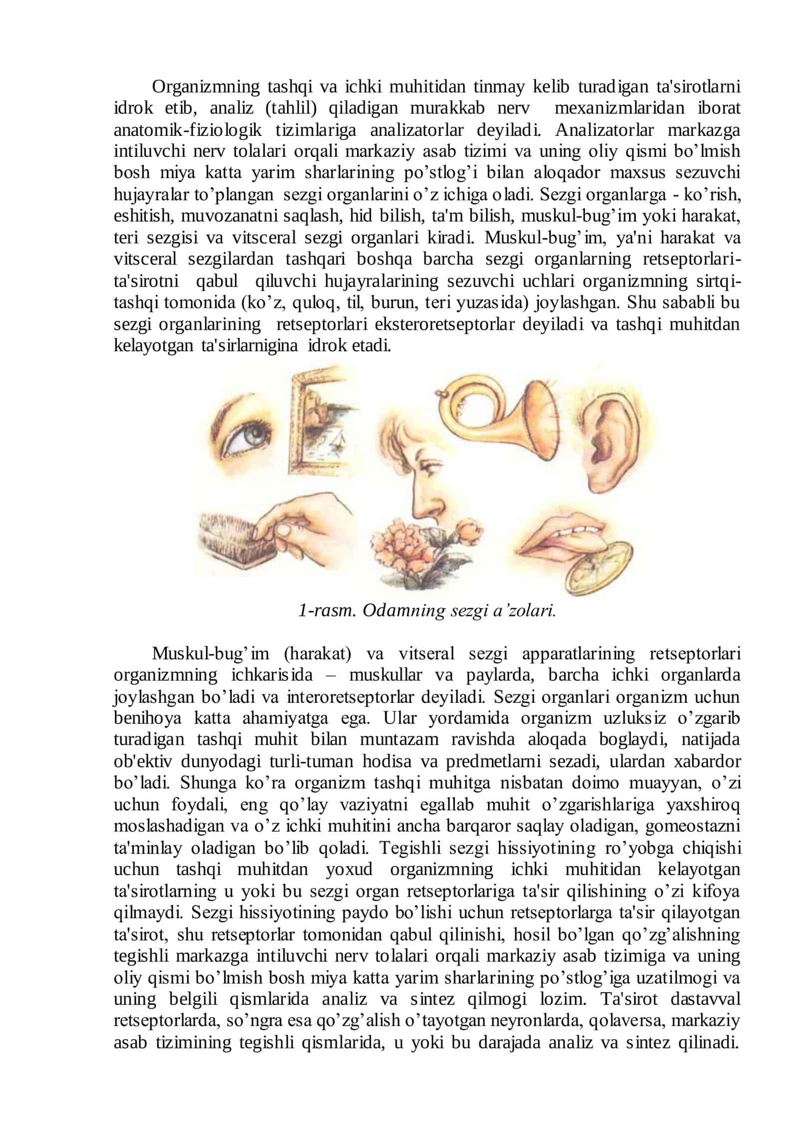 Sezgi organlari –ko`rish fiziologiyasi 2