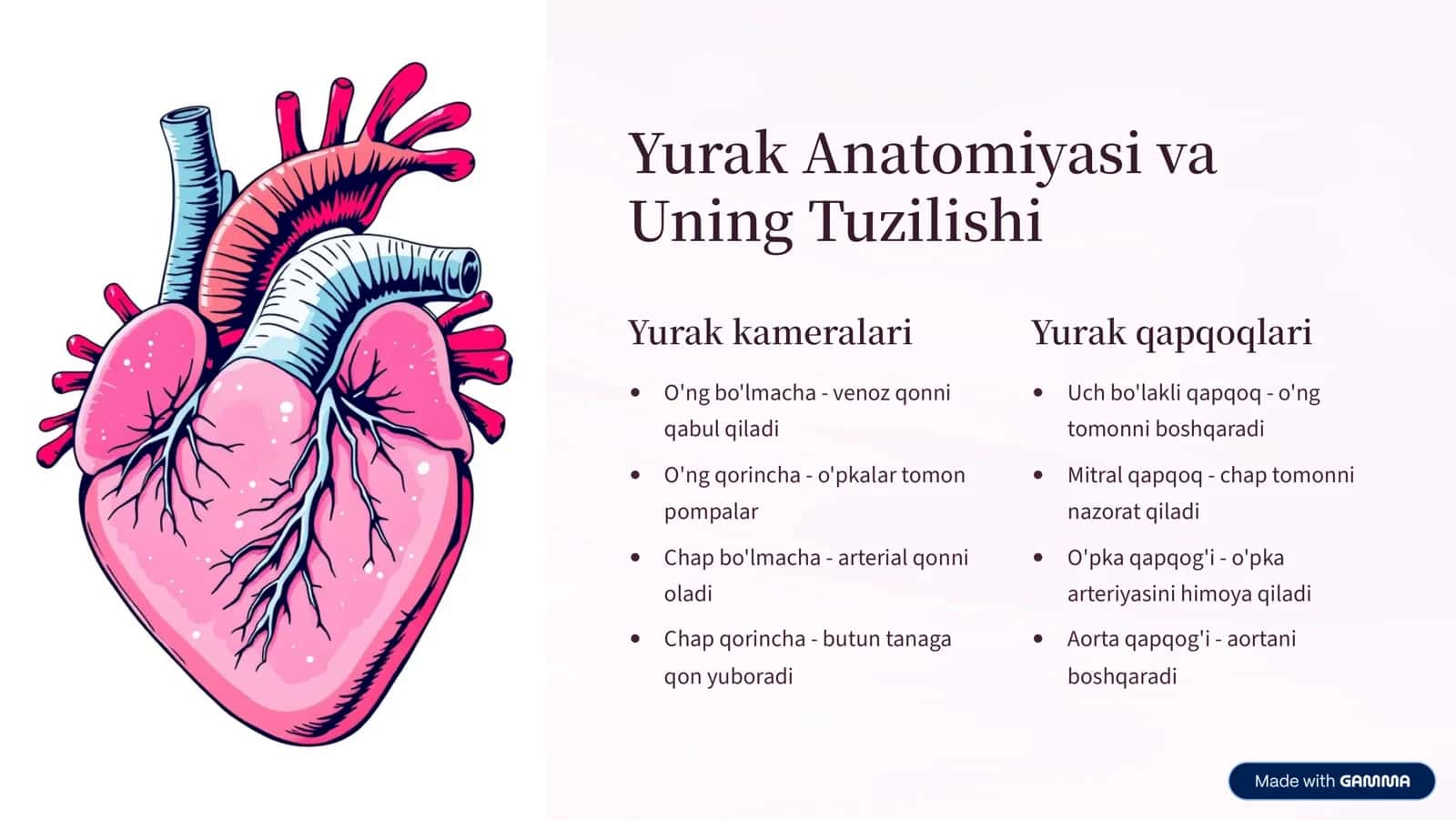 Qon Aylanish Tizimi Fiziologiyasi va Inson Salomatligi 2
