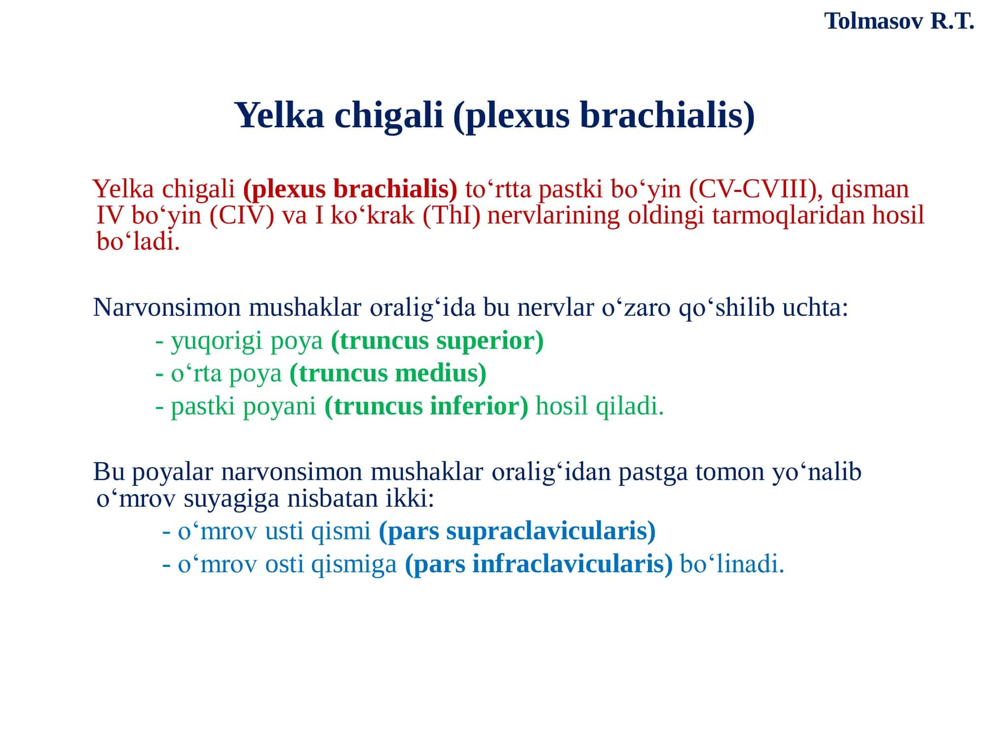 Yelka chigali 2