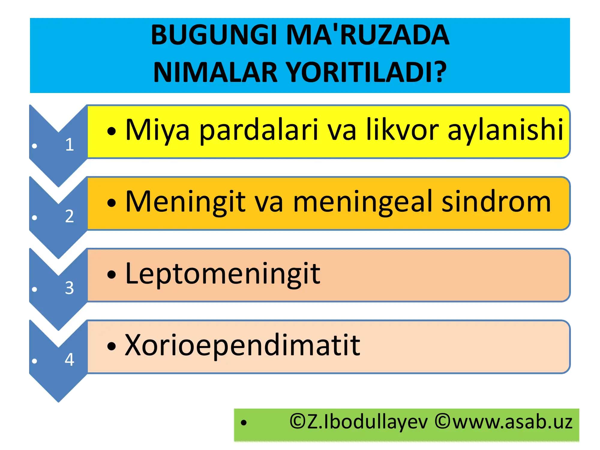 MIYA PARDALARI. LIKVOR. MENINGIT. LEPTOMENINGIT. XORIOEPENDIMATIT 2
