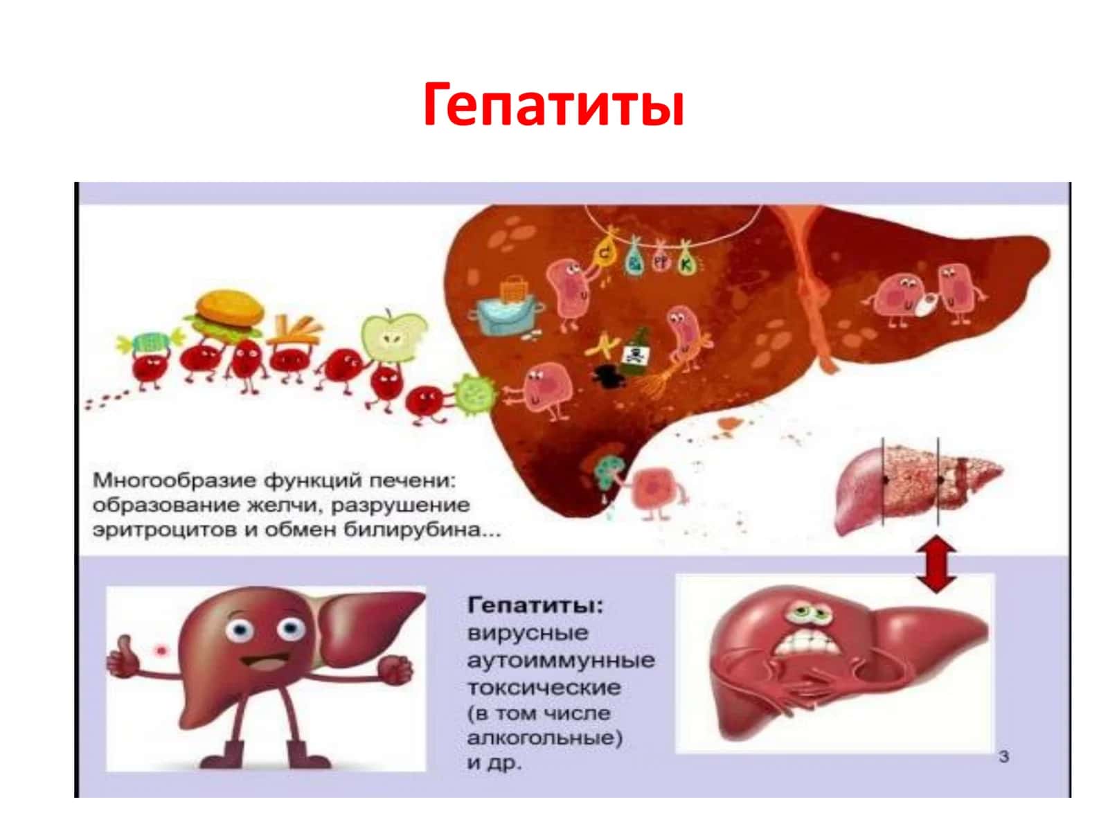 Вирус гепатита А (ВГА) 2