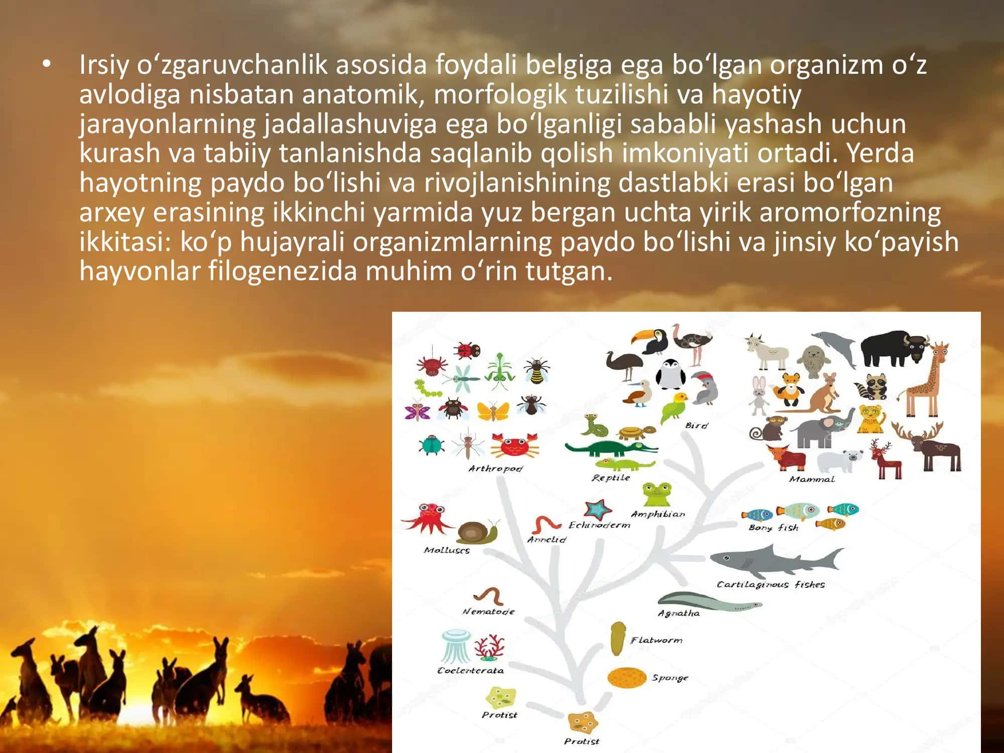 Psixik funksiyalar evolyutsiyasi 2