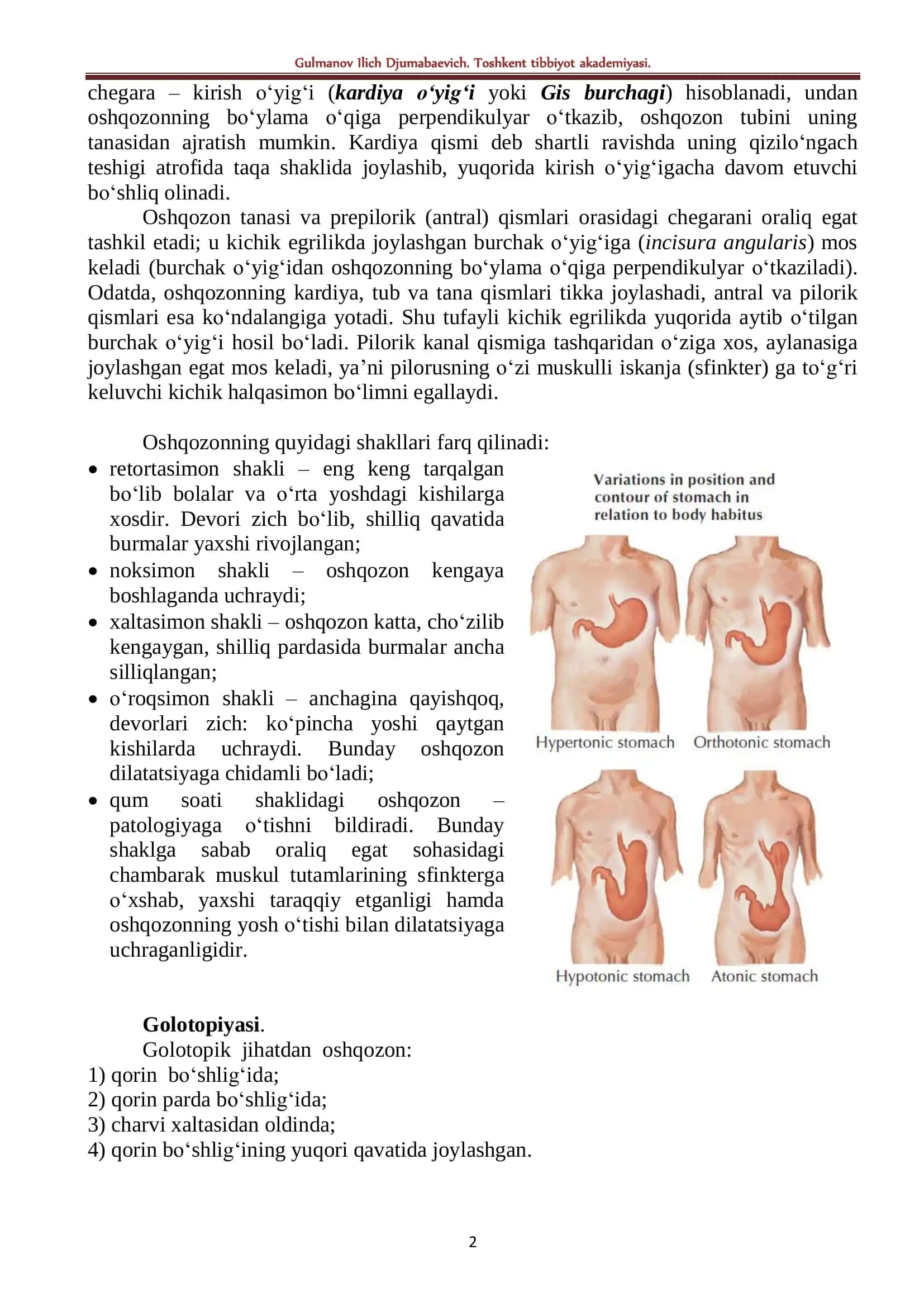 Oshqozon (ventriculus s. gaster) 2