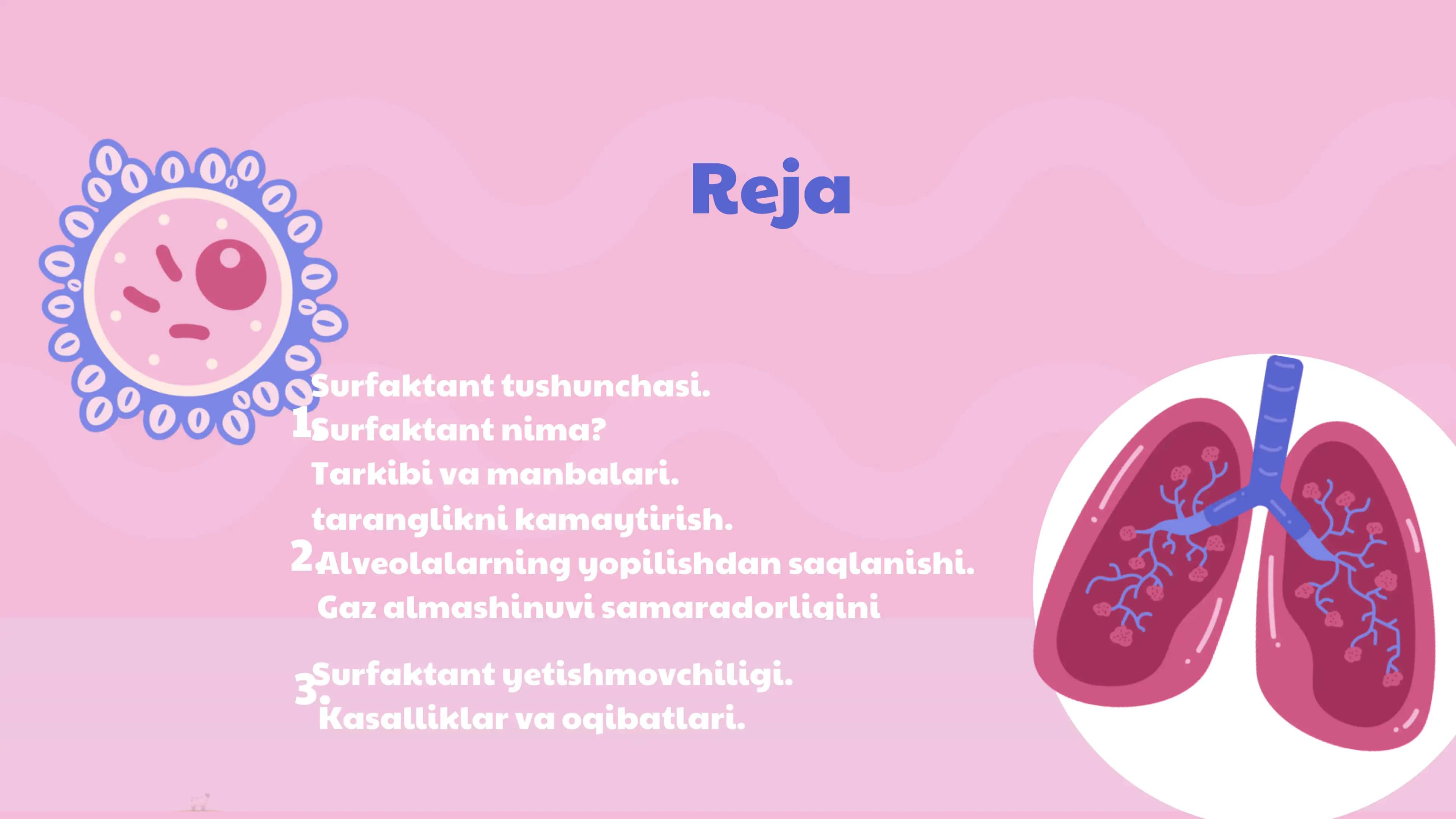 Surfaktant va uning alveolalar faoliyatidagi ahamiyati 2
