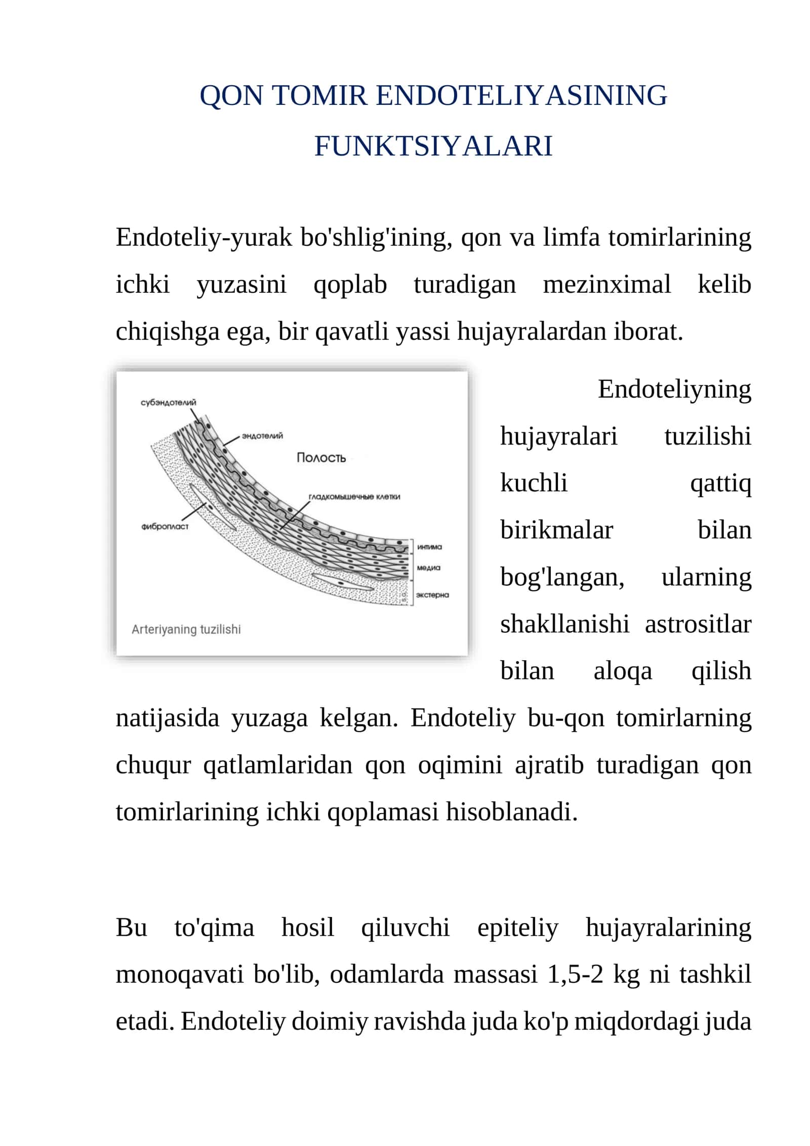 Qon tomir endoteliyasinin funktsiyalari 2
