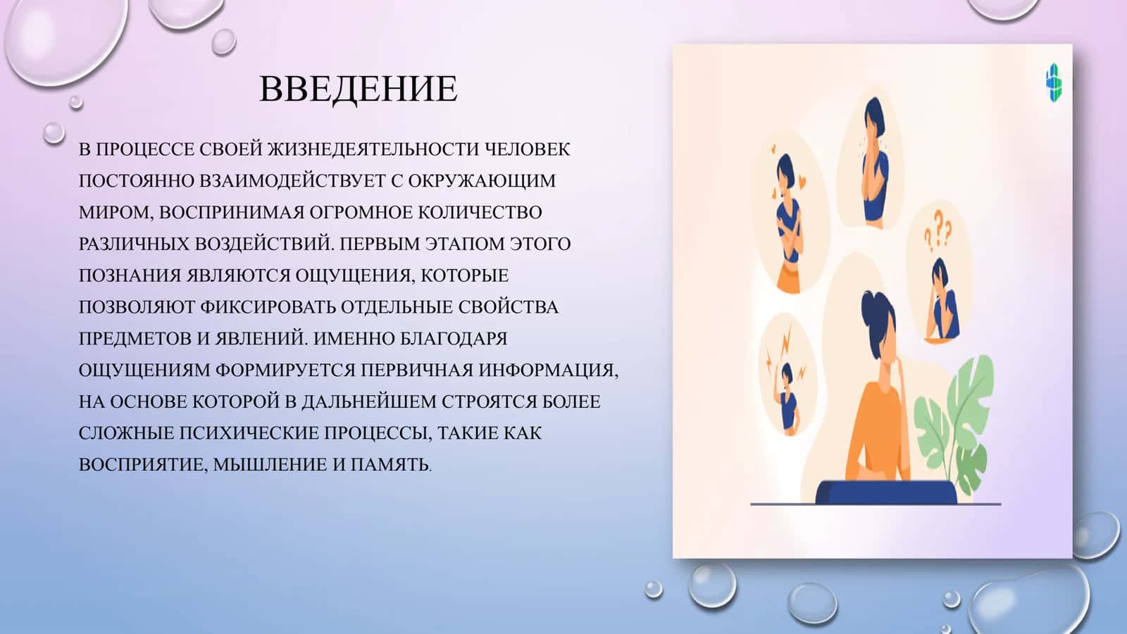 ОЩУЩЕНИЕ И ЧУВСТВИТЕЛЬНОСТЬ 2