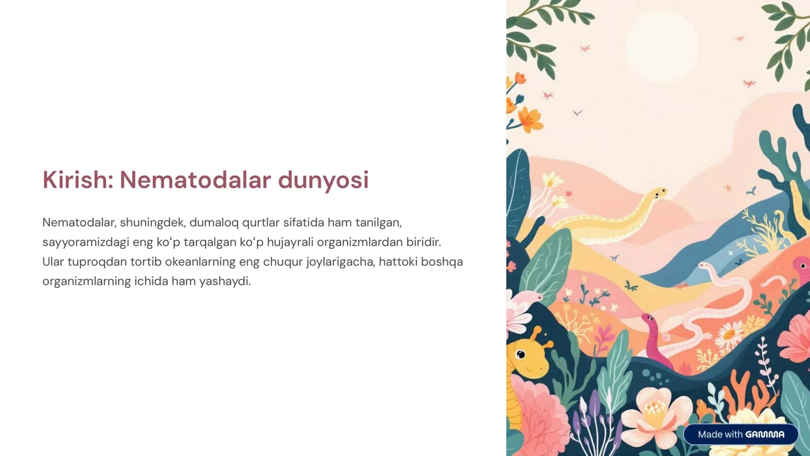 Nematodalar sinfi: Tavsifi va asosiy turlari 2