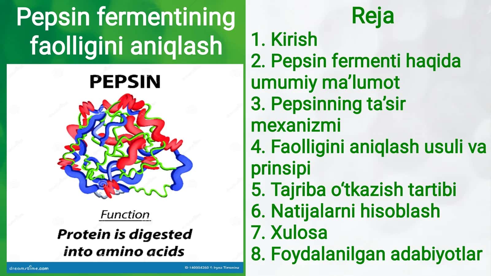 Pepsin fermentining faolligini aniqlash, pepsin, ferment, 2