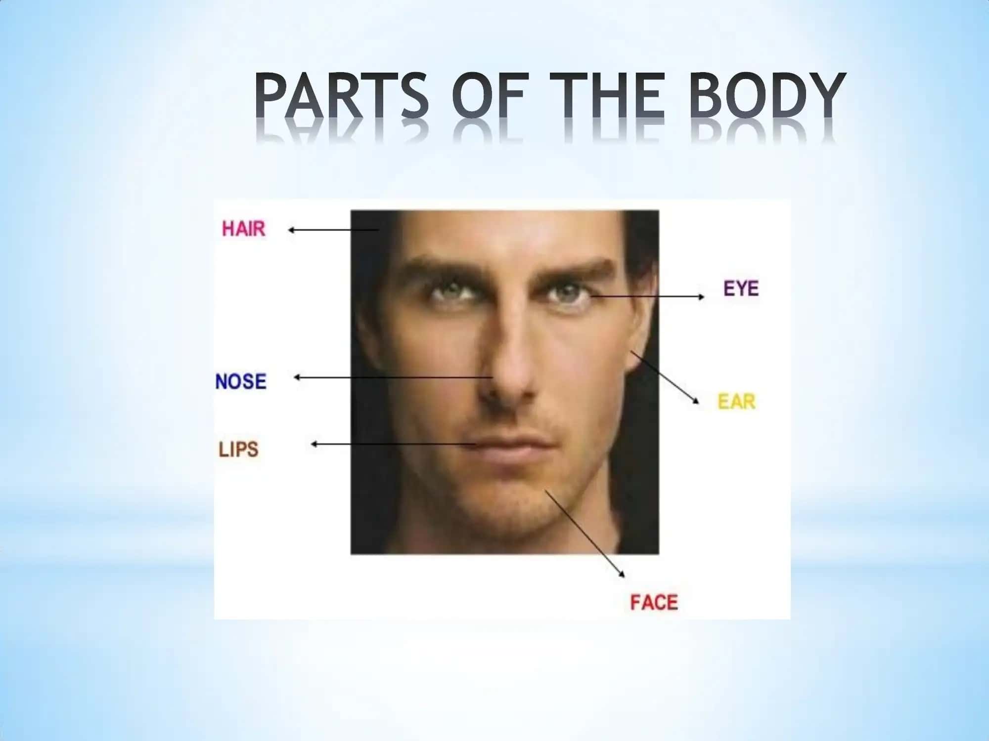 PHYSICAL DESCRIPTION 2