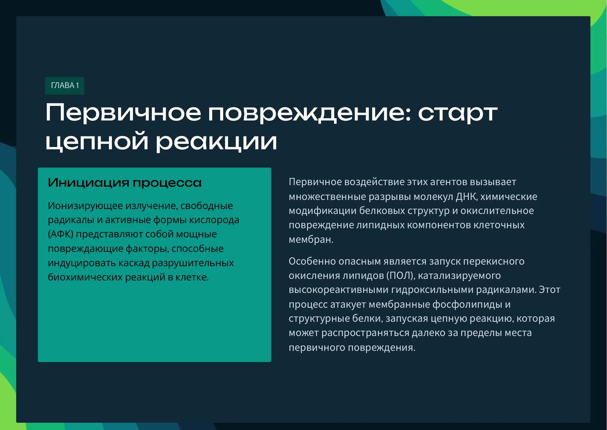Вторичные биохимические последствия Повреждение ДНК, белков и липидов клеточных мембран. 2