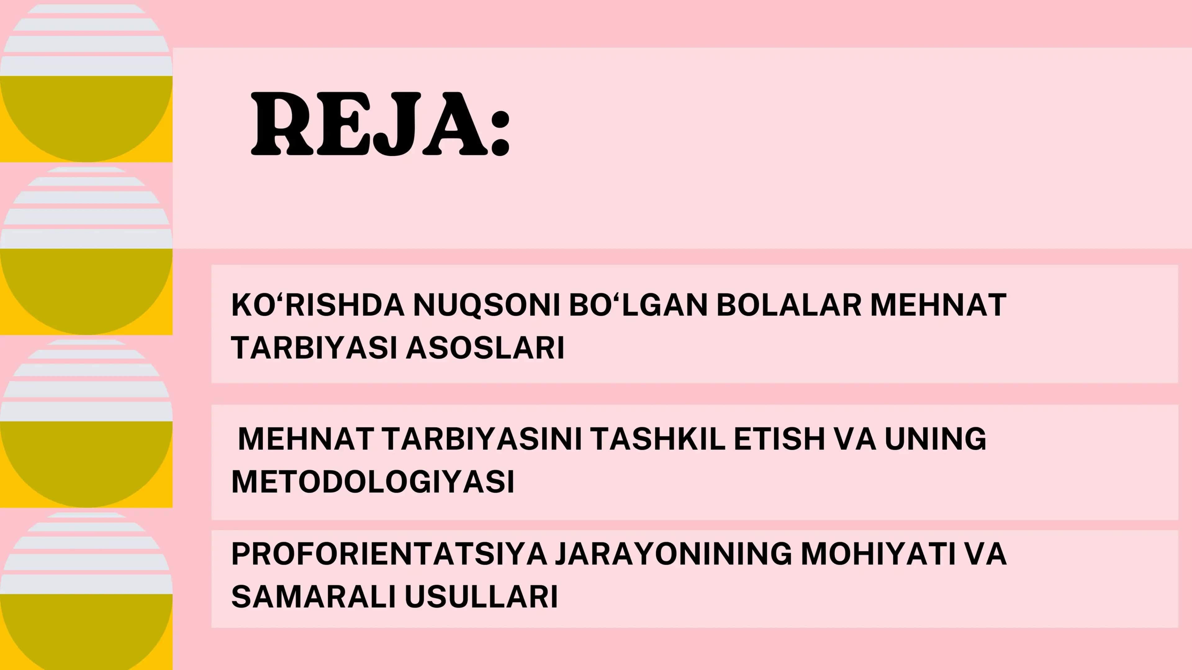 Ko'rishda nuqsoni bo'lgan bolalar mehnat tarbiyasi va proforintatsiyasi 2
