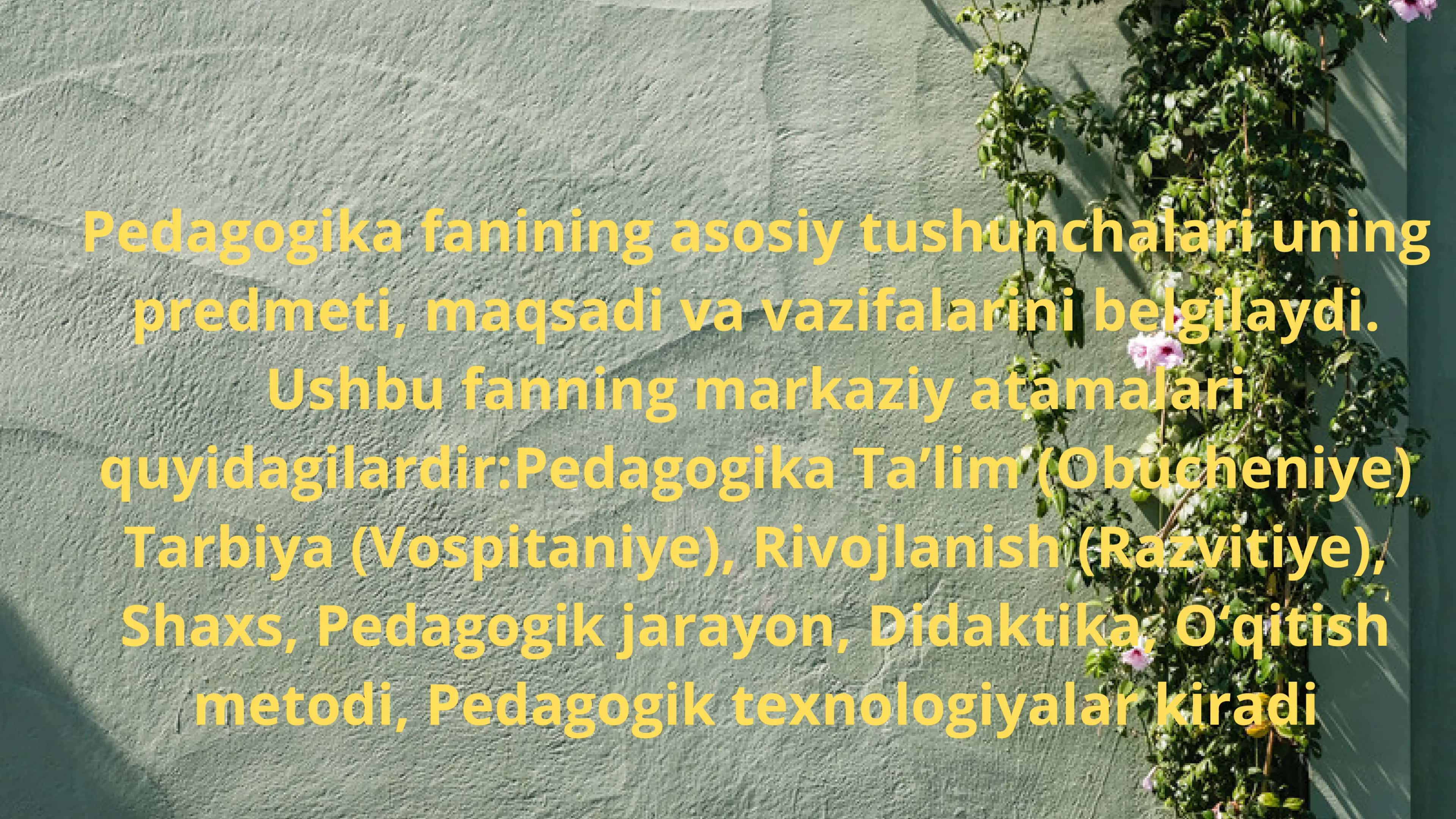Pedagogika fanining asosiy tushunchalari 2