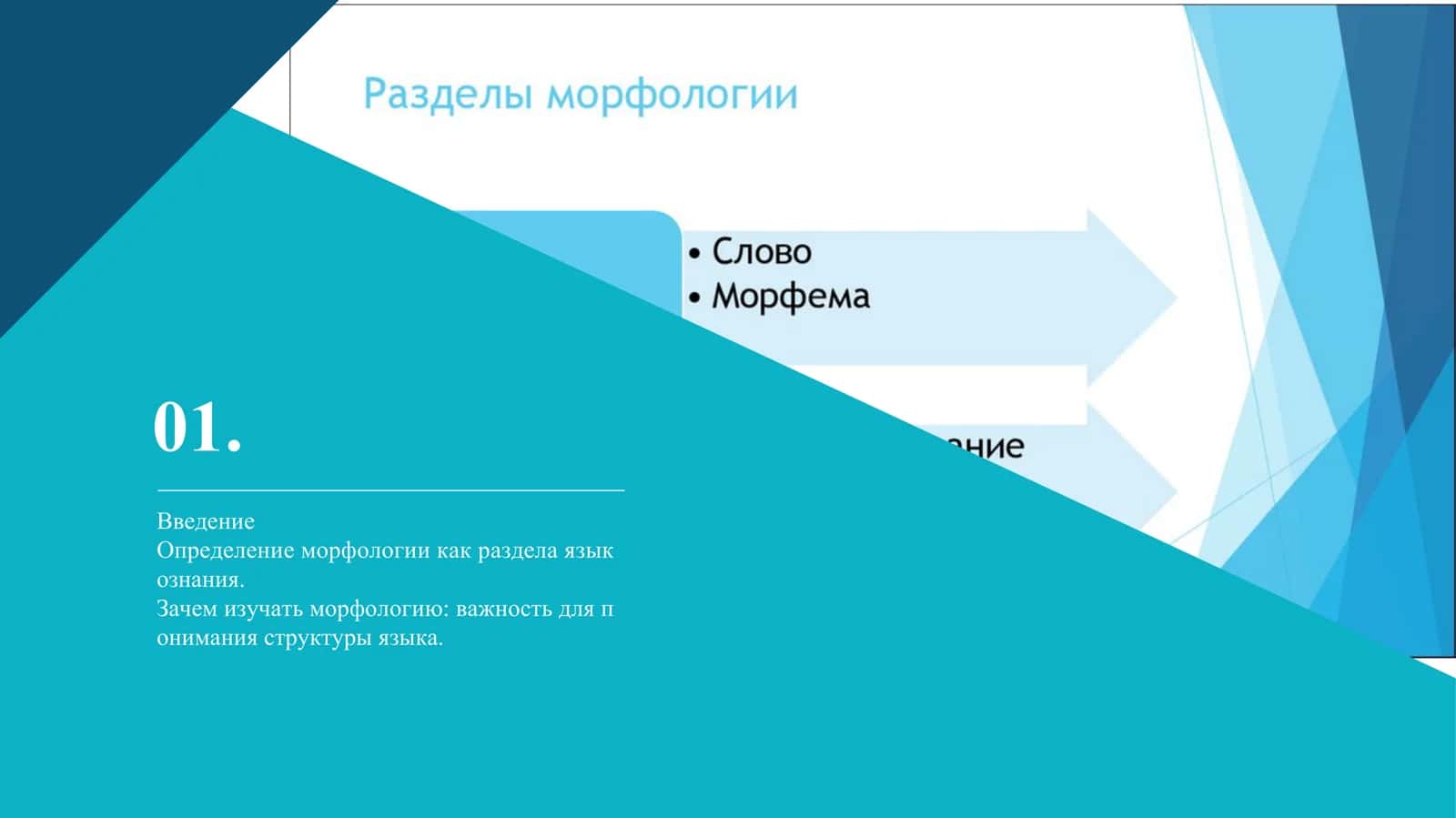 Основные вопросы морфологии 2