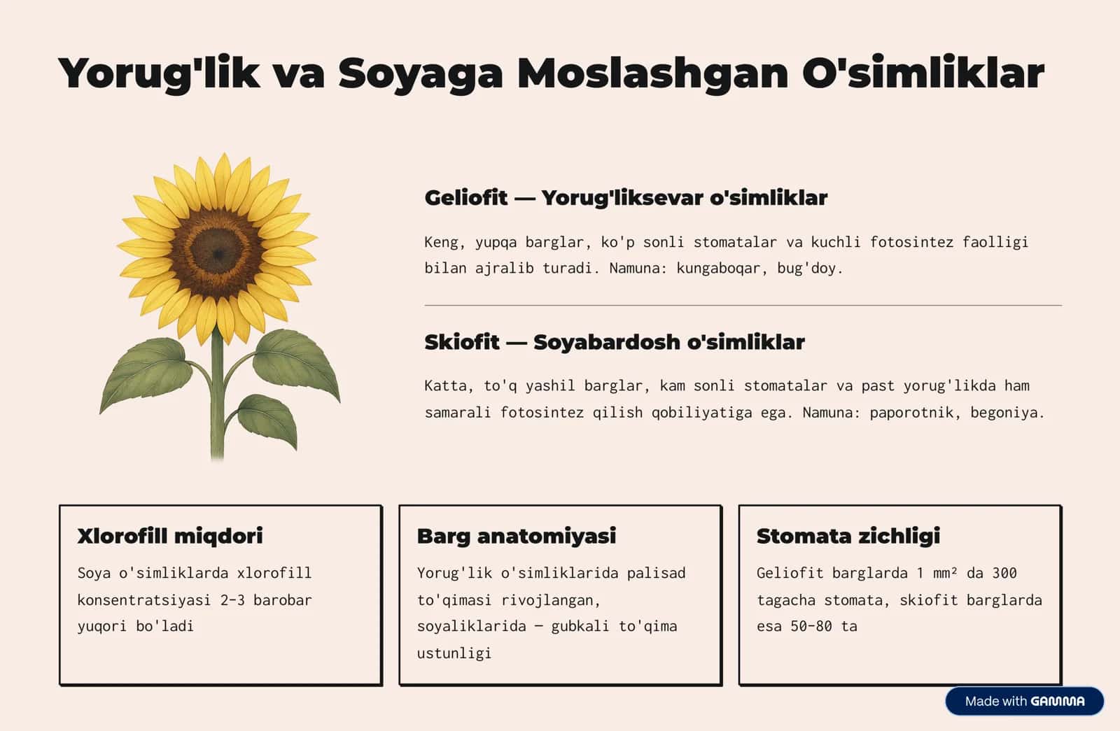 O'simliklarning Turli Ekologik Sharoitlarga Moslashuvi 2