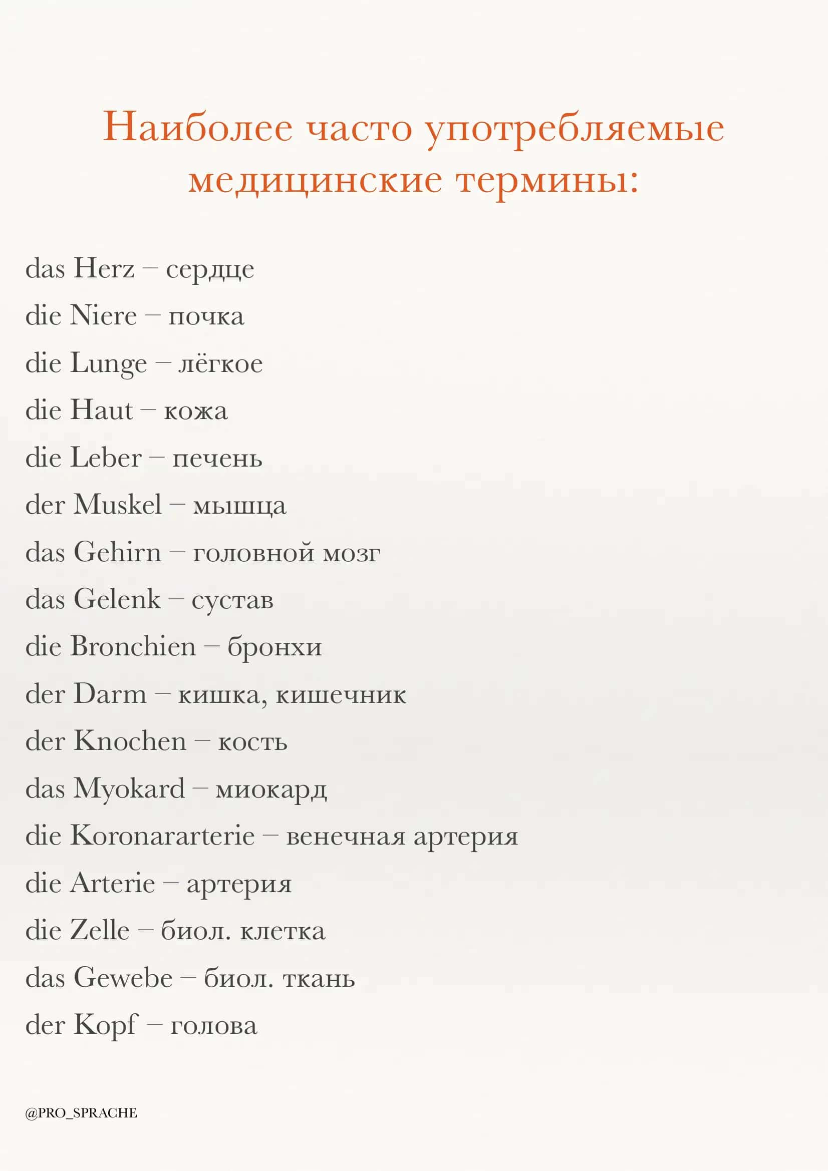 So'zlar nemis rus tili 2
