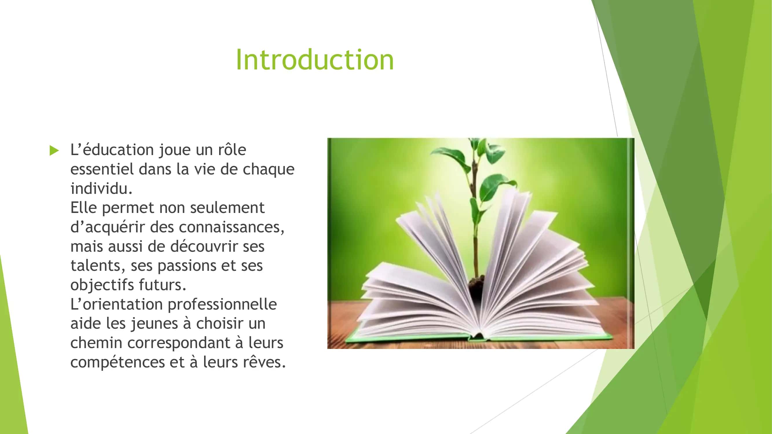 les etudes et les l'orientation professionnelle 2