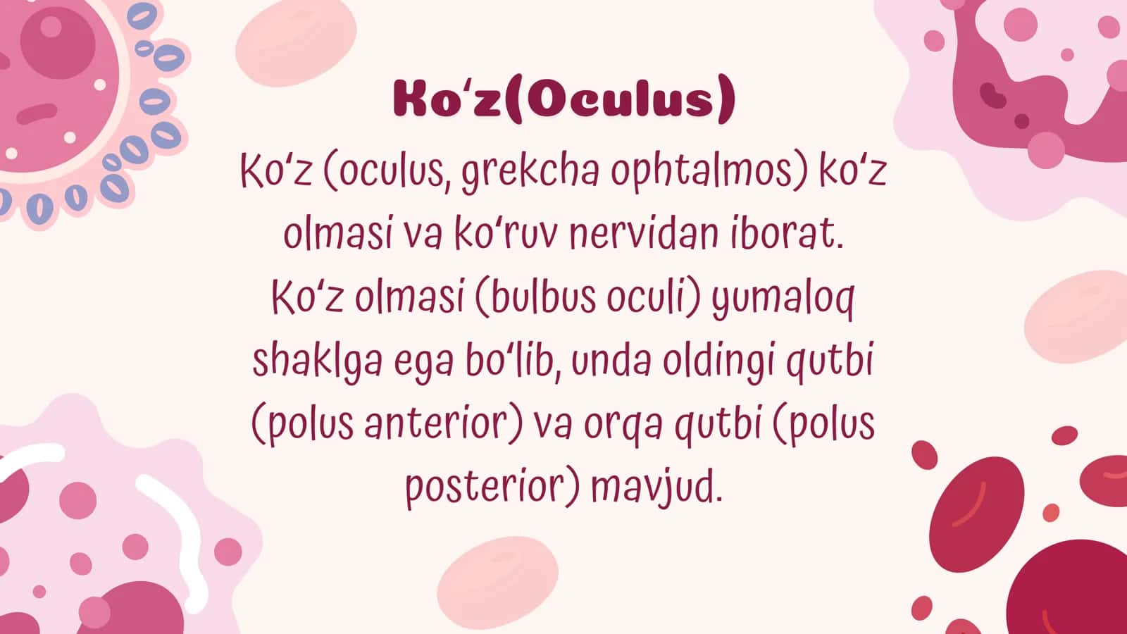 Koʻrish aʼzosi 2
