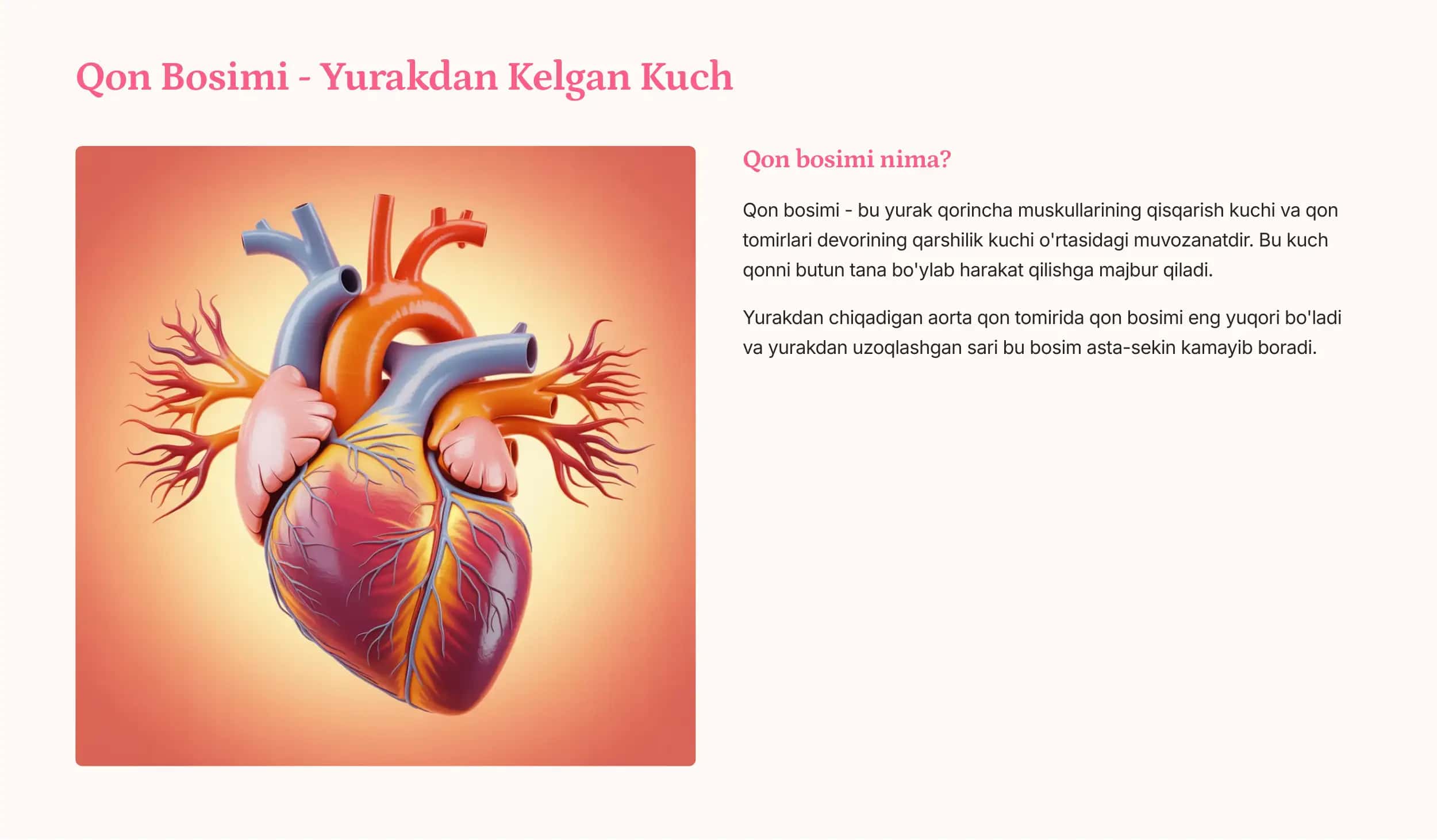 Qon Aylanish Sistemasi 2
