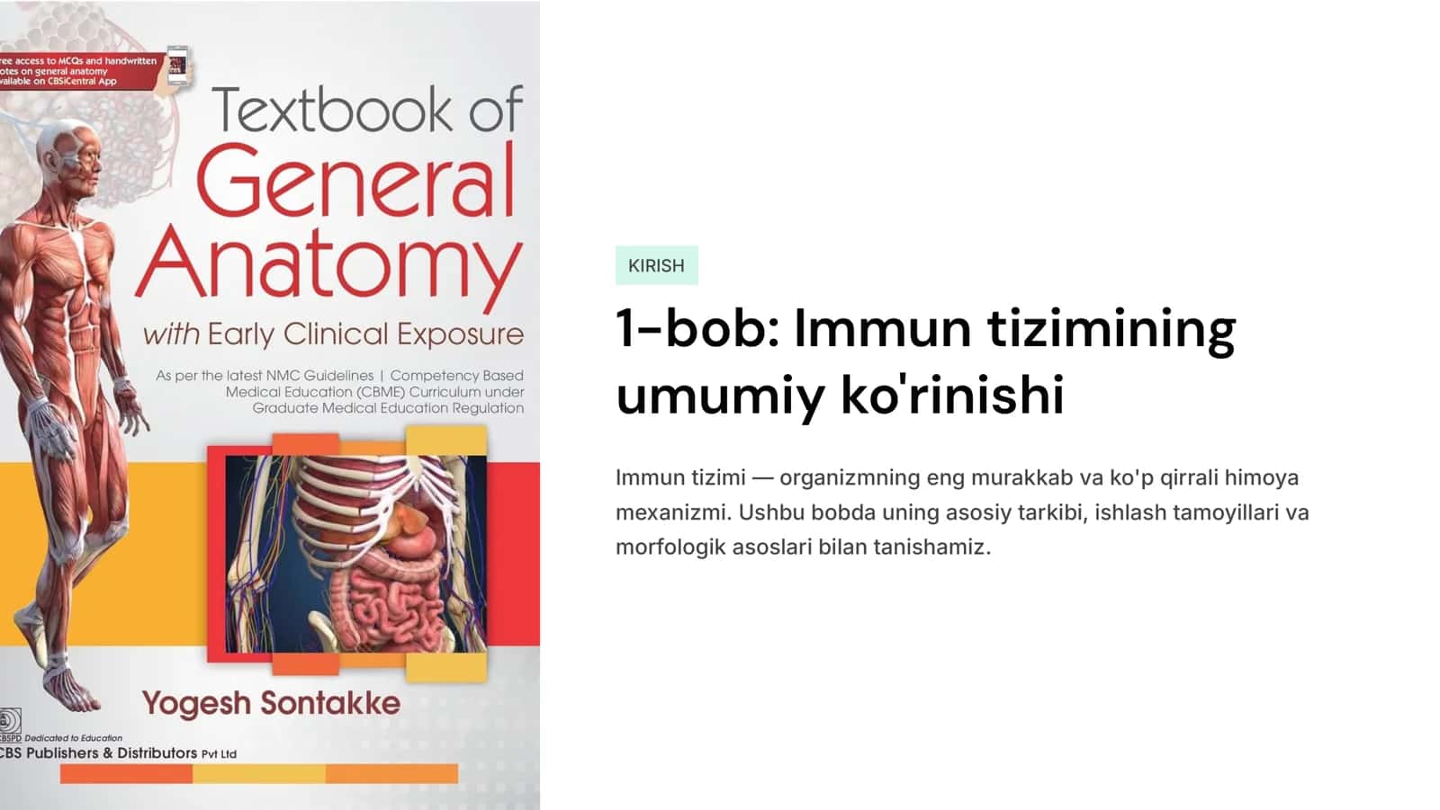 Immun-himoya rеaktsiyalarining morfologik asoslari. 2