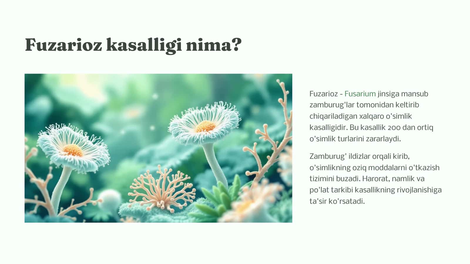 Qishloq xo‘jaligi mahsulotlari zararkunandalariga qarshi kurash fanidan 2