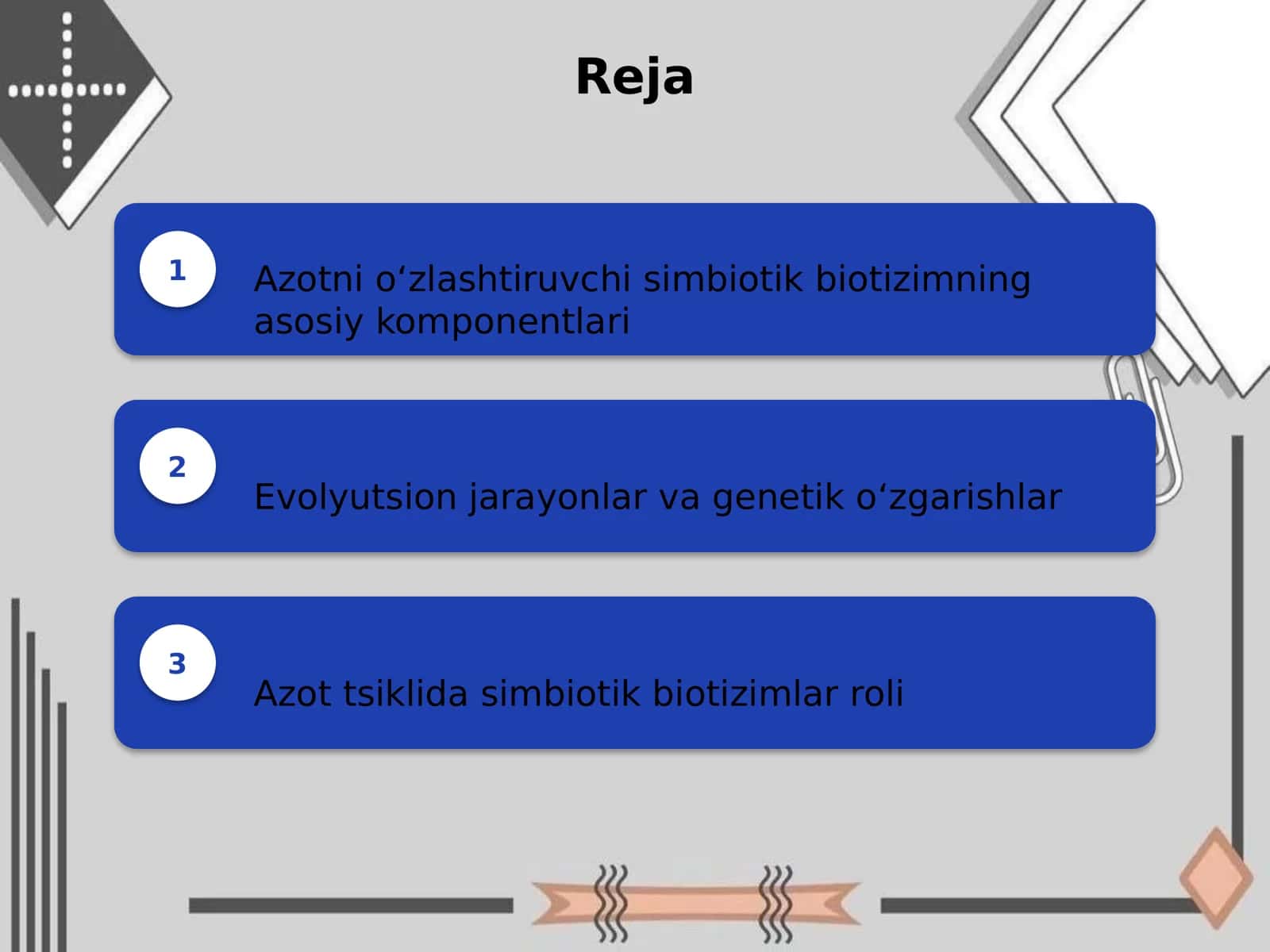 Azotni oʻzlashtirivchi simbiotik biotizimning 2