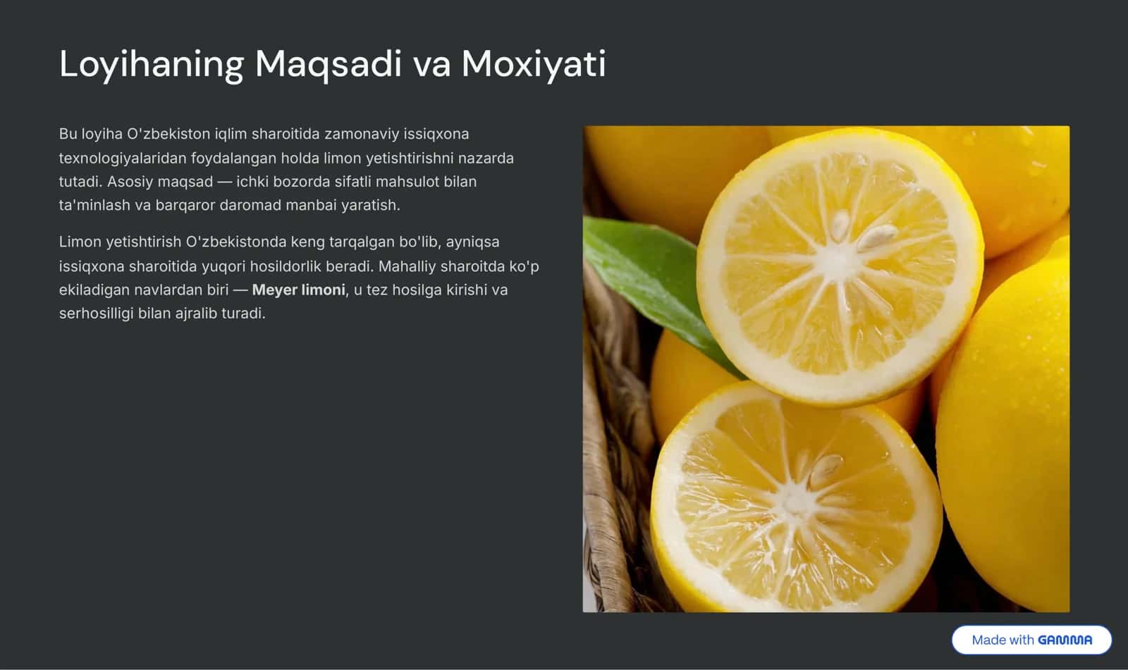 Zamonaviy Issiqxona (Limonariya) Biznes Rejasi 2