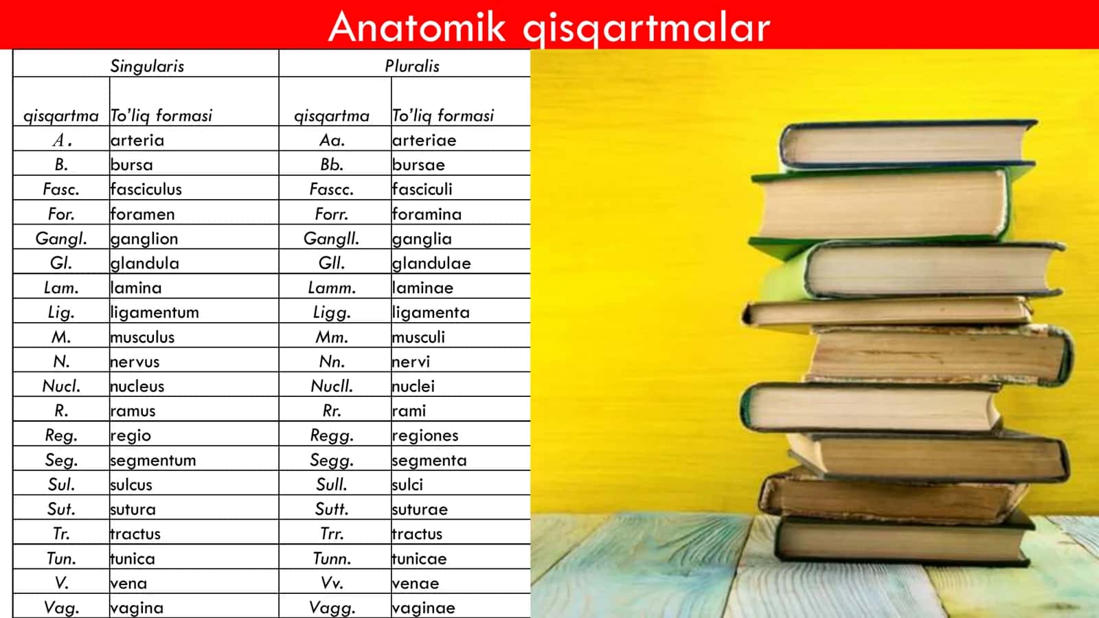 Angiologiya 1 qism 2