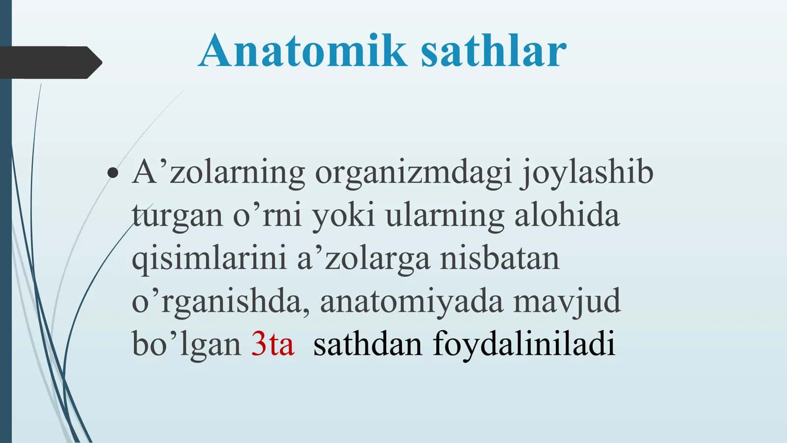 Umumiy osteologiya. Skelet haqida umumiy tushuncha. Satxlar haqida tushuncha. Boshlang’ich te 2