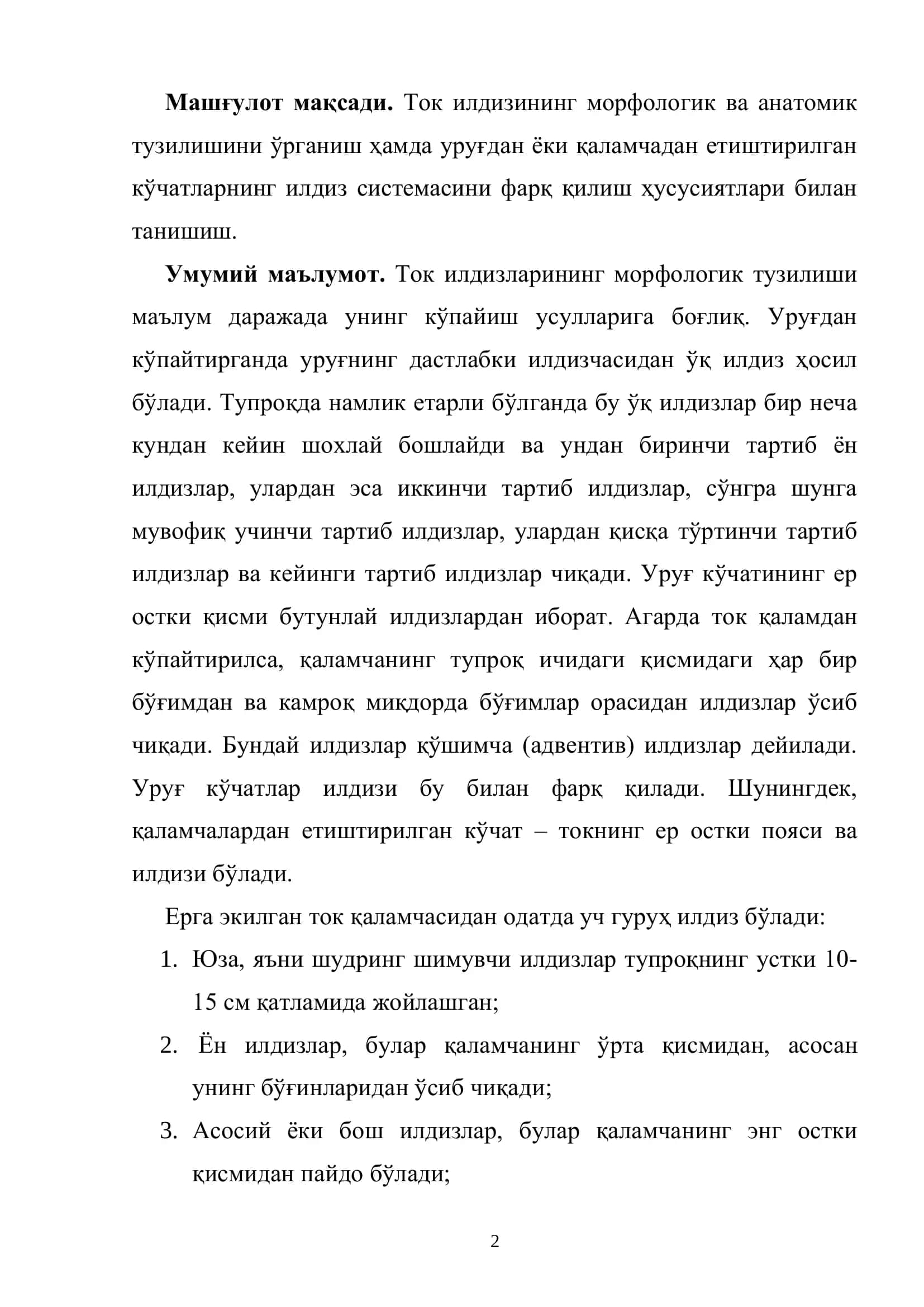 Ток илдизининг морфологик ва анатомик тузилиши 2