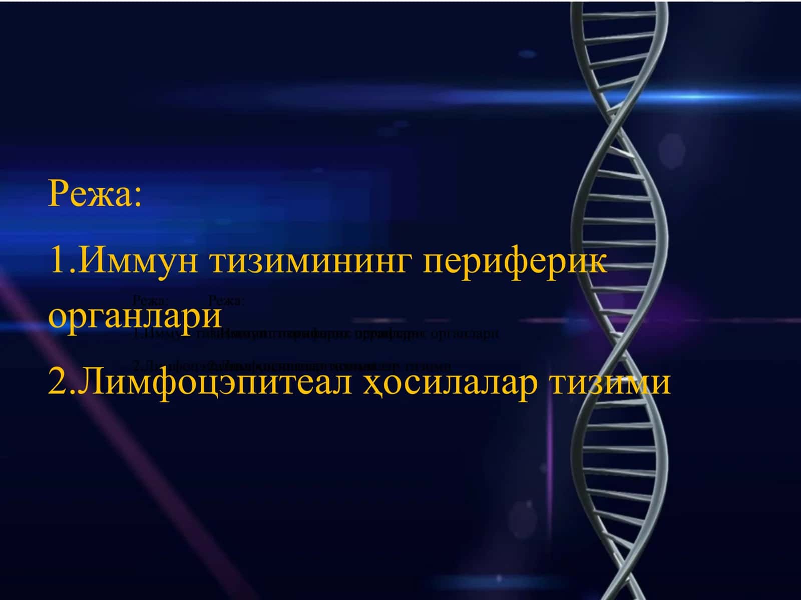 Imun tizimining periferik organlari 2