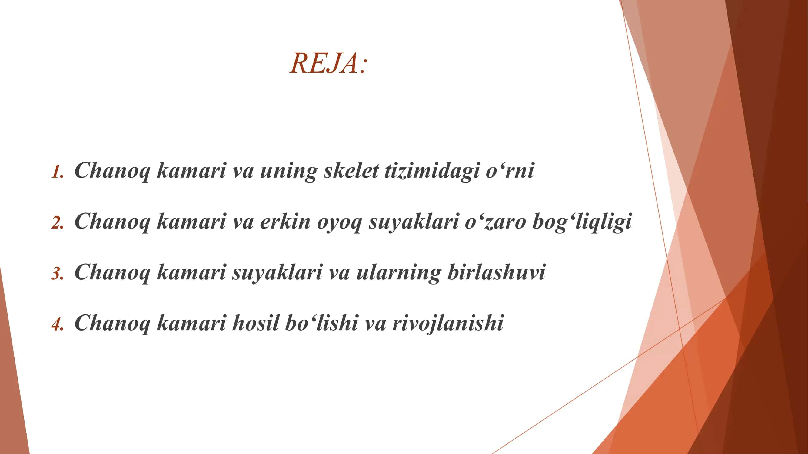 Chanoq kamari va erkin oyoq suyaklari 2