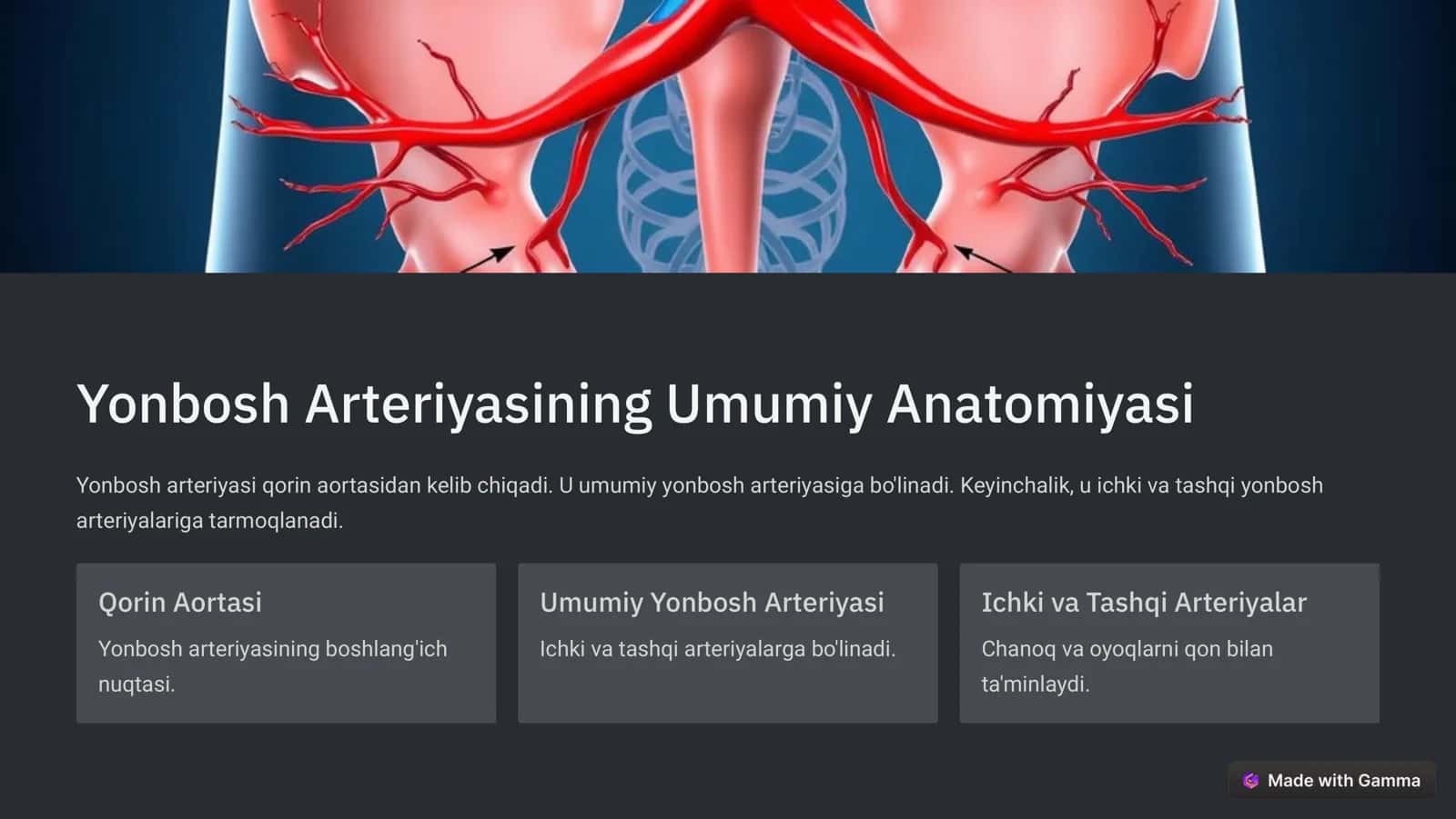 Ichki va Tashqi Yonbosh Arteriyalari: Taqqoslash va Klinik Ahamiyati 2