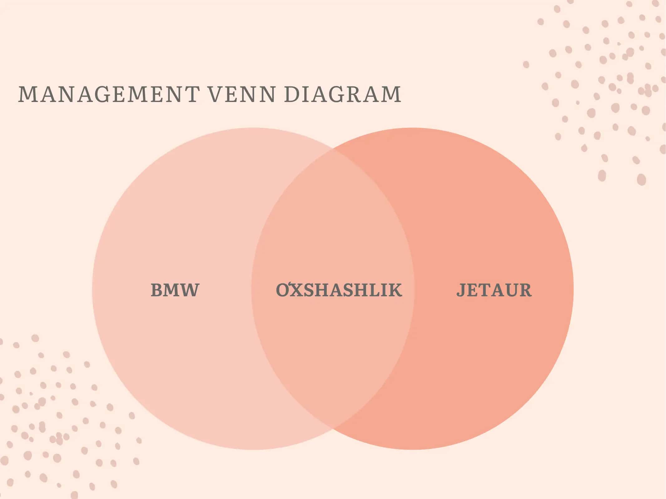 Venn diagramma 2