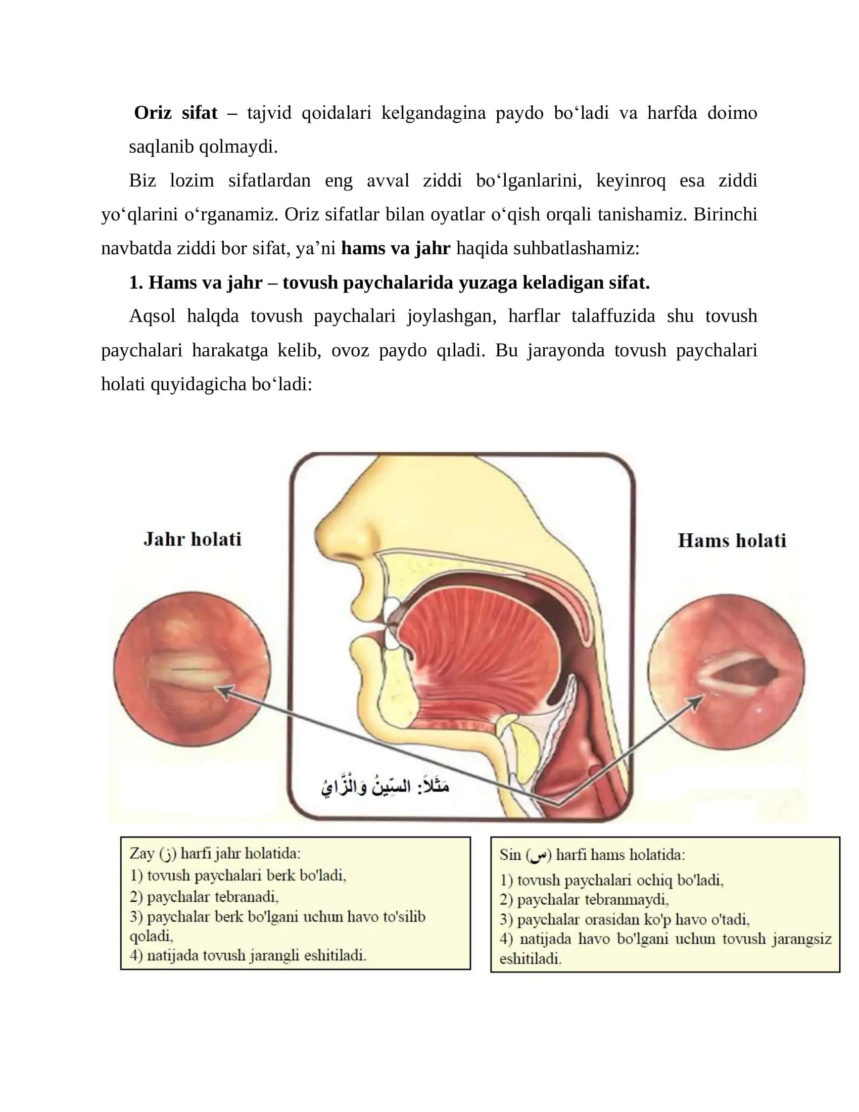 Sifatlar 2