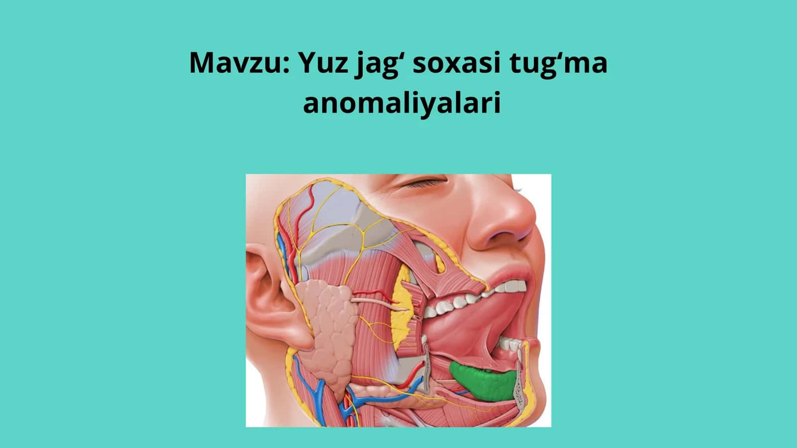 Yuz–jag' sohasi tugma anomaliyalari 2