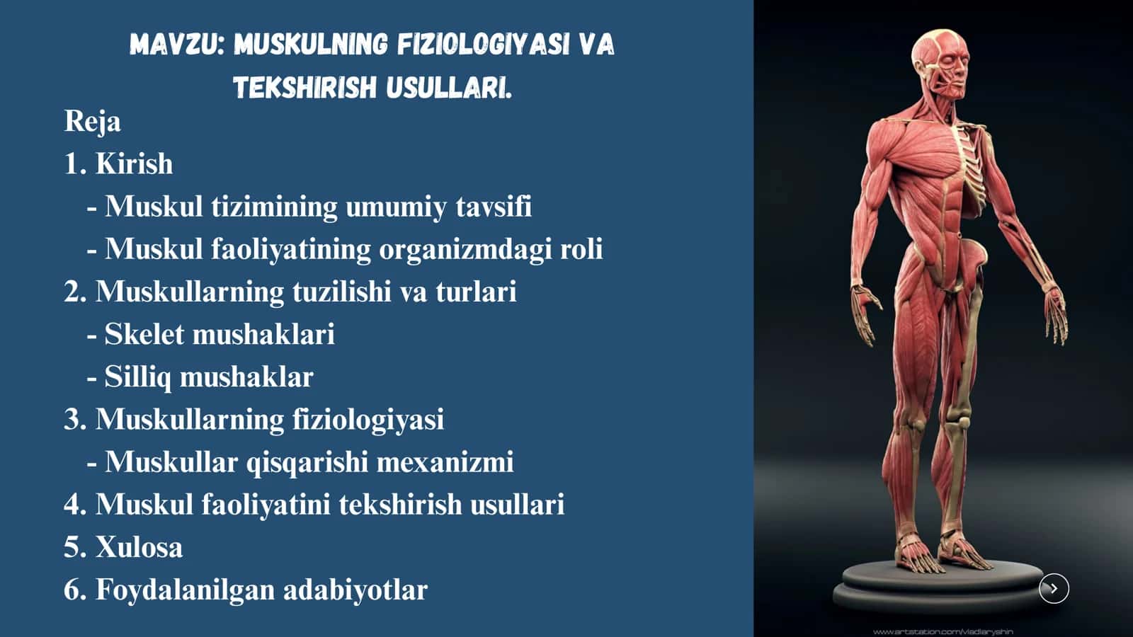 Mustaqil ishi: Muskulning fiziologiyasi va tekshirish usullari 2