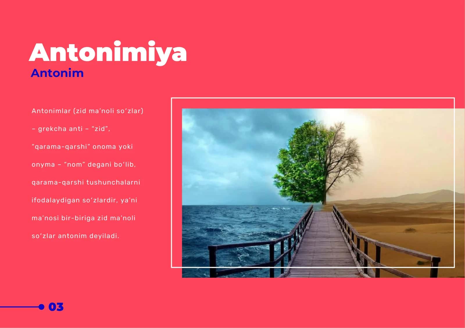 Antonimiya va enontiosemiya 2