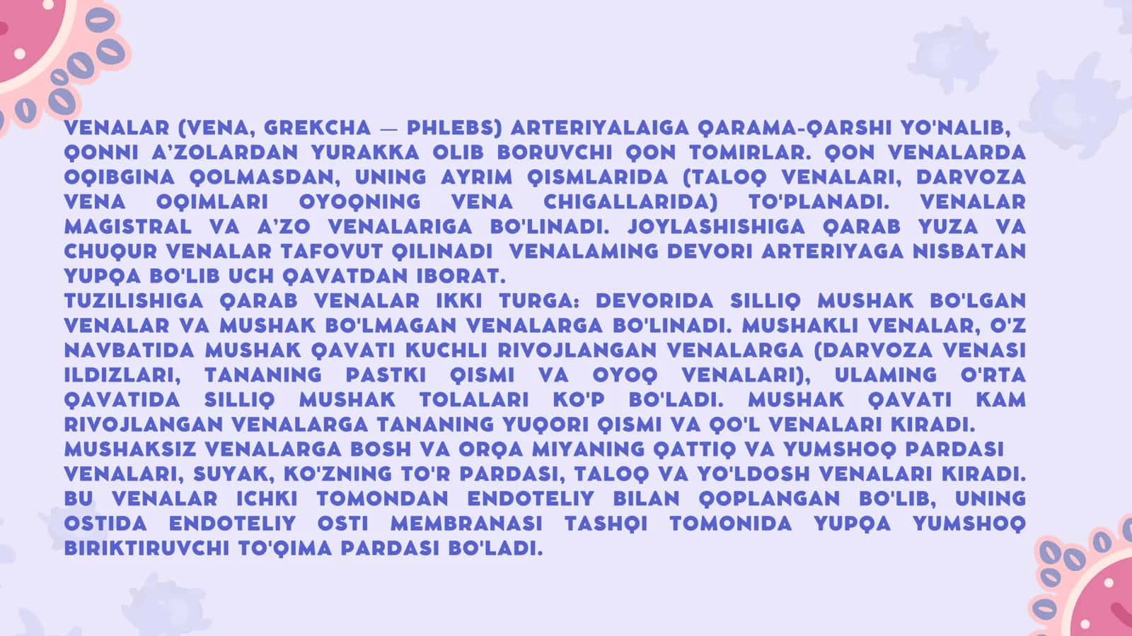 yuqori va pastki kovak venalar 2