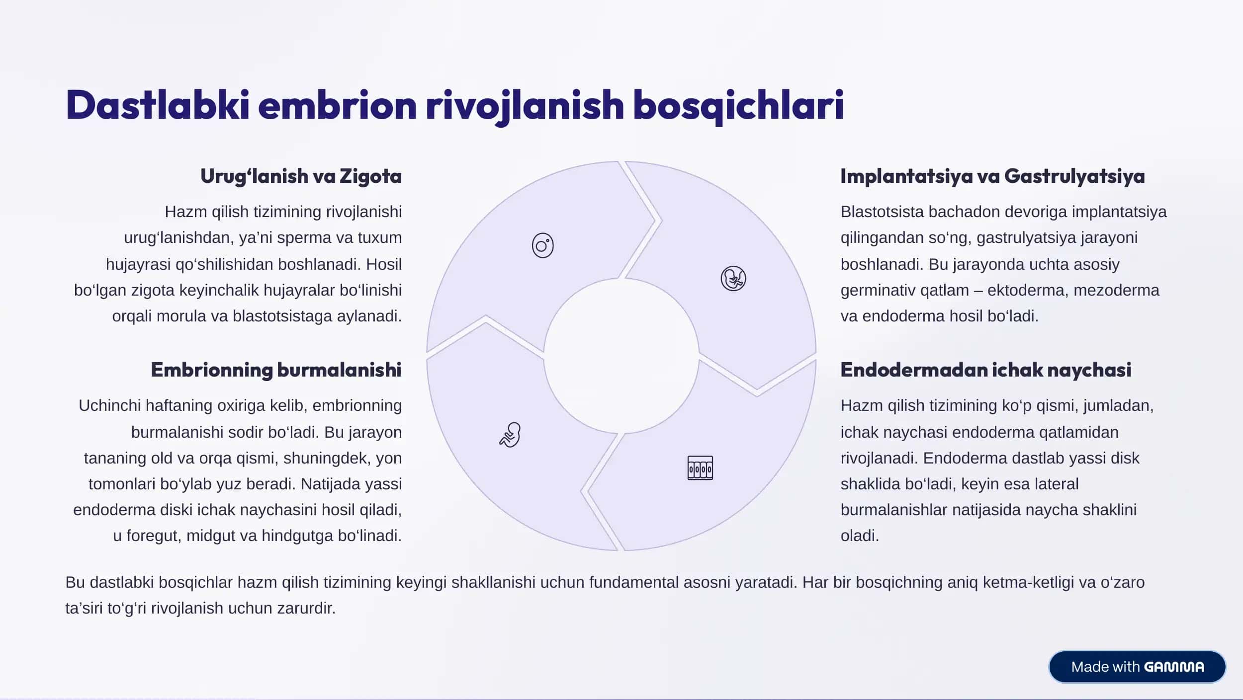 Hazm qilish tizimi embriologiyasi 2