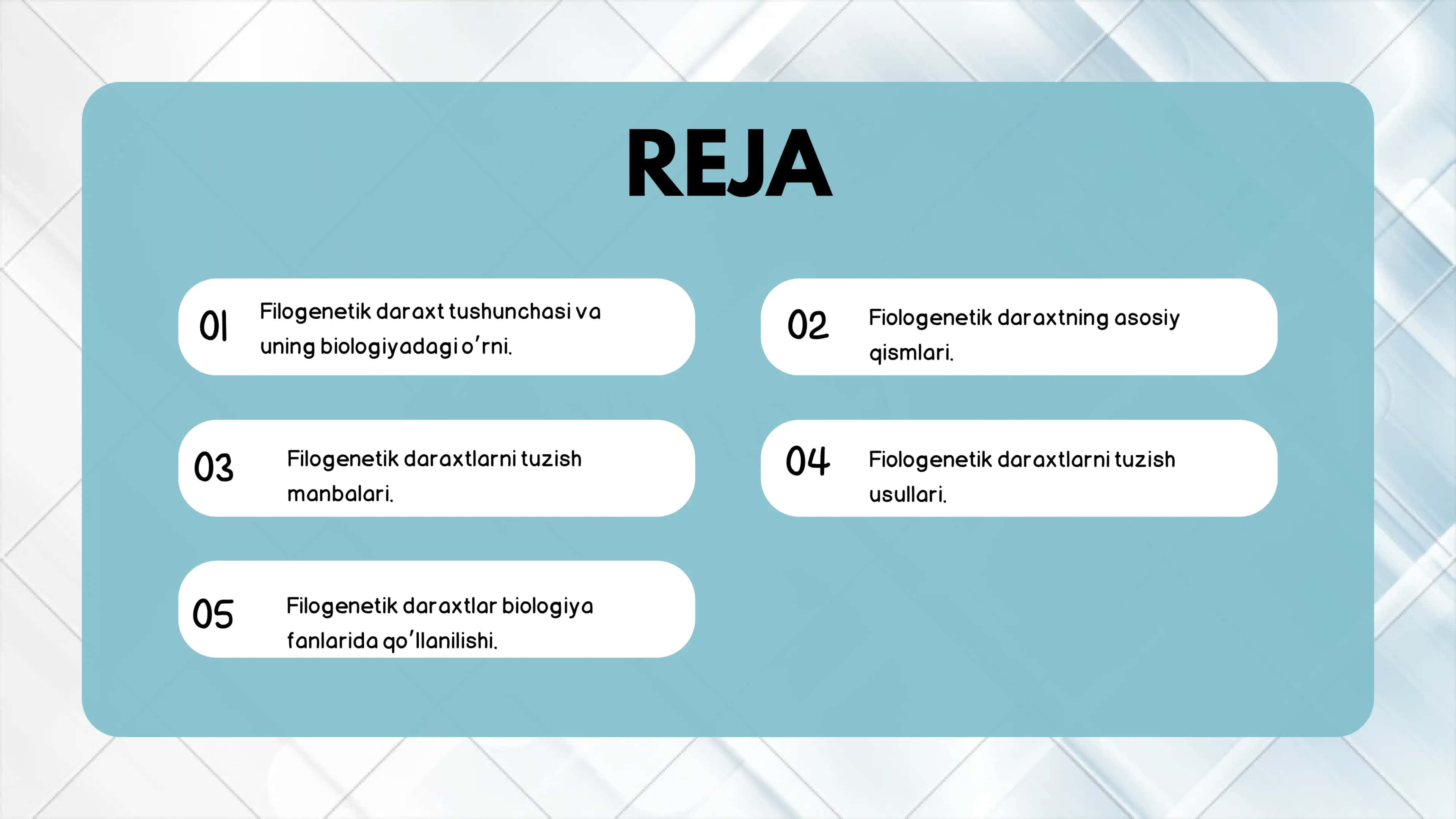 Filogenetik daraxtning biologiyadagi o’rni va ahamiyati 2