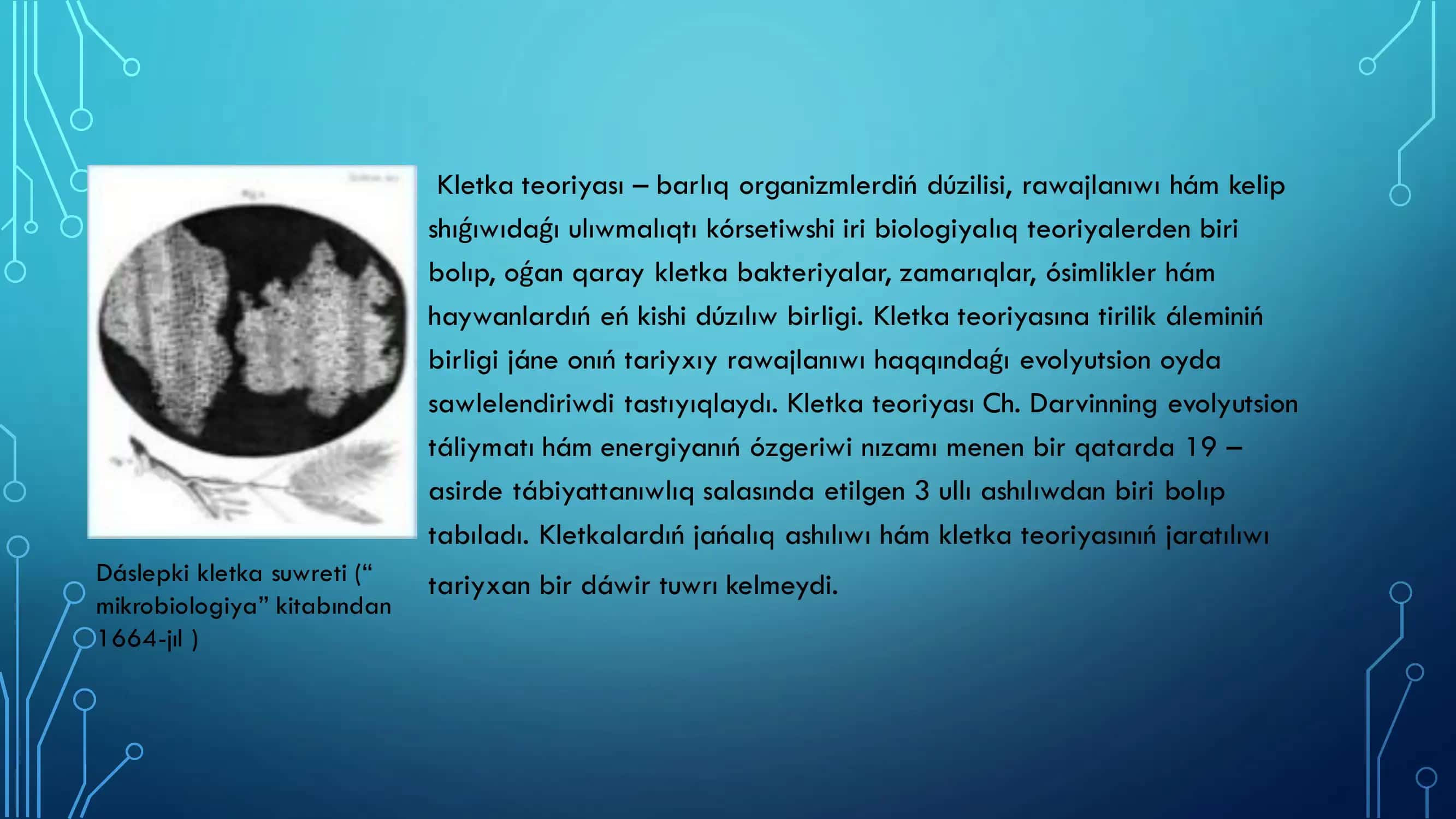Kletka Teoriyası 2