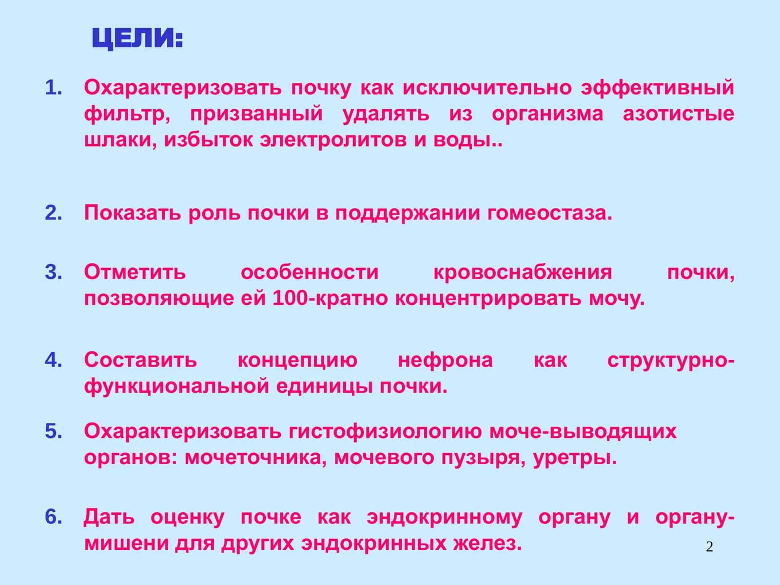 Выделительная система 2