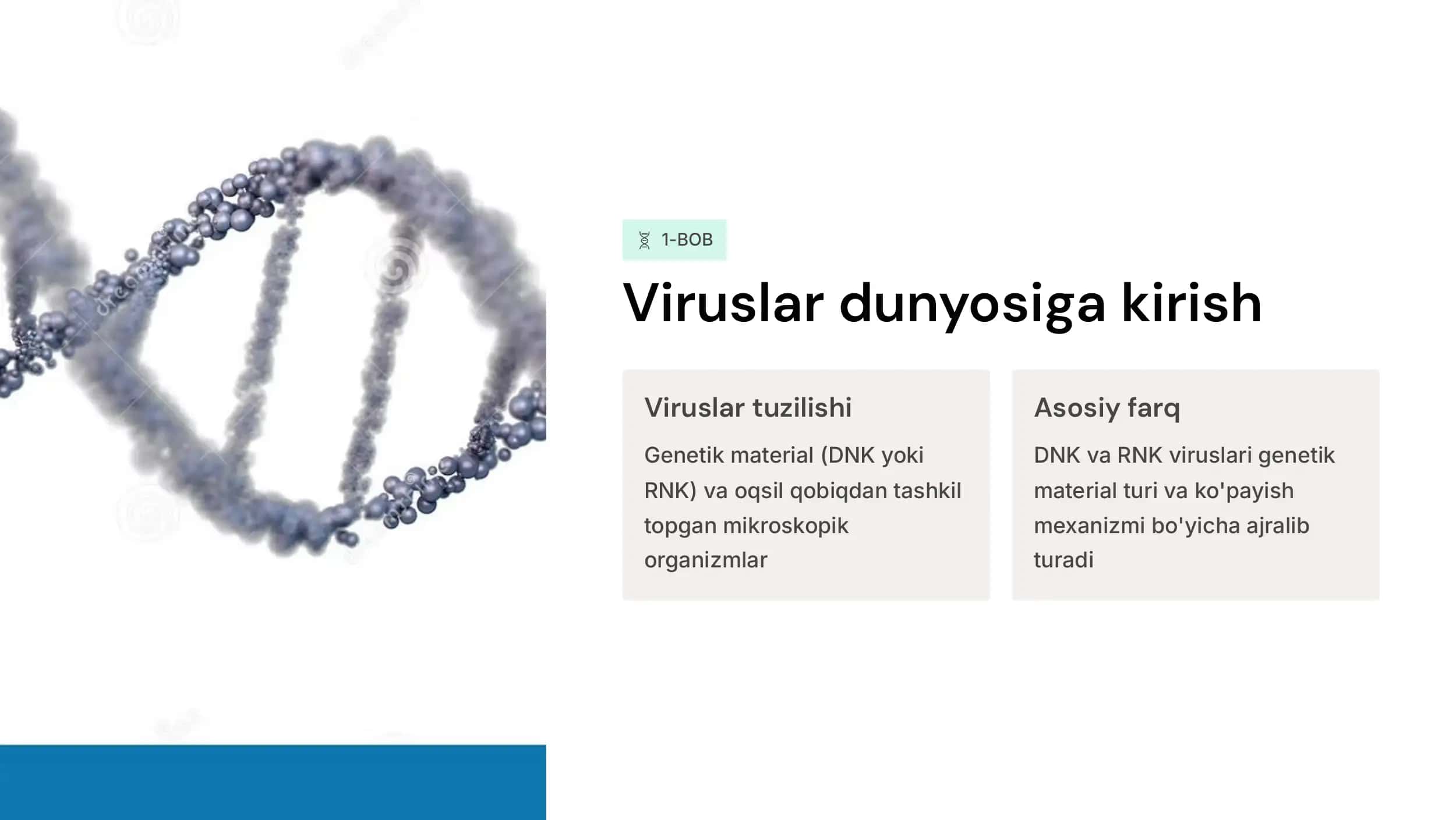 DNK-saqlovchi viruslar  (Gerpes, poks,  adenoviruslar) va RNK saqlovchi viruslar  (Orto- va  paramiksoviruslar),  ularga tavsif va laboratoriya tashxisi 2